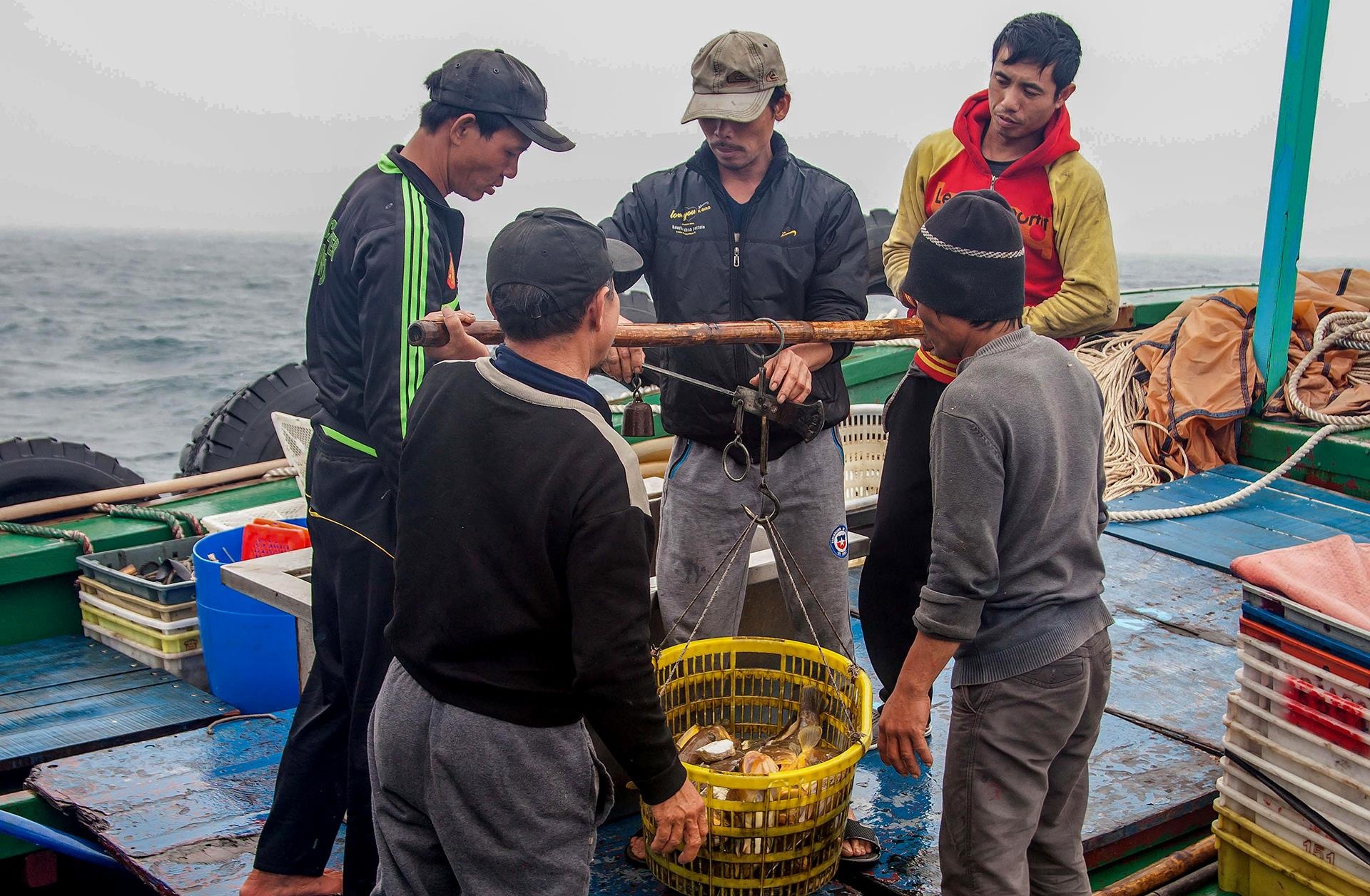 Cau ca ngoai bien dong anh 34