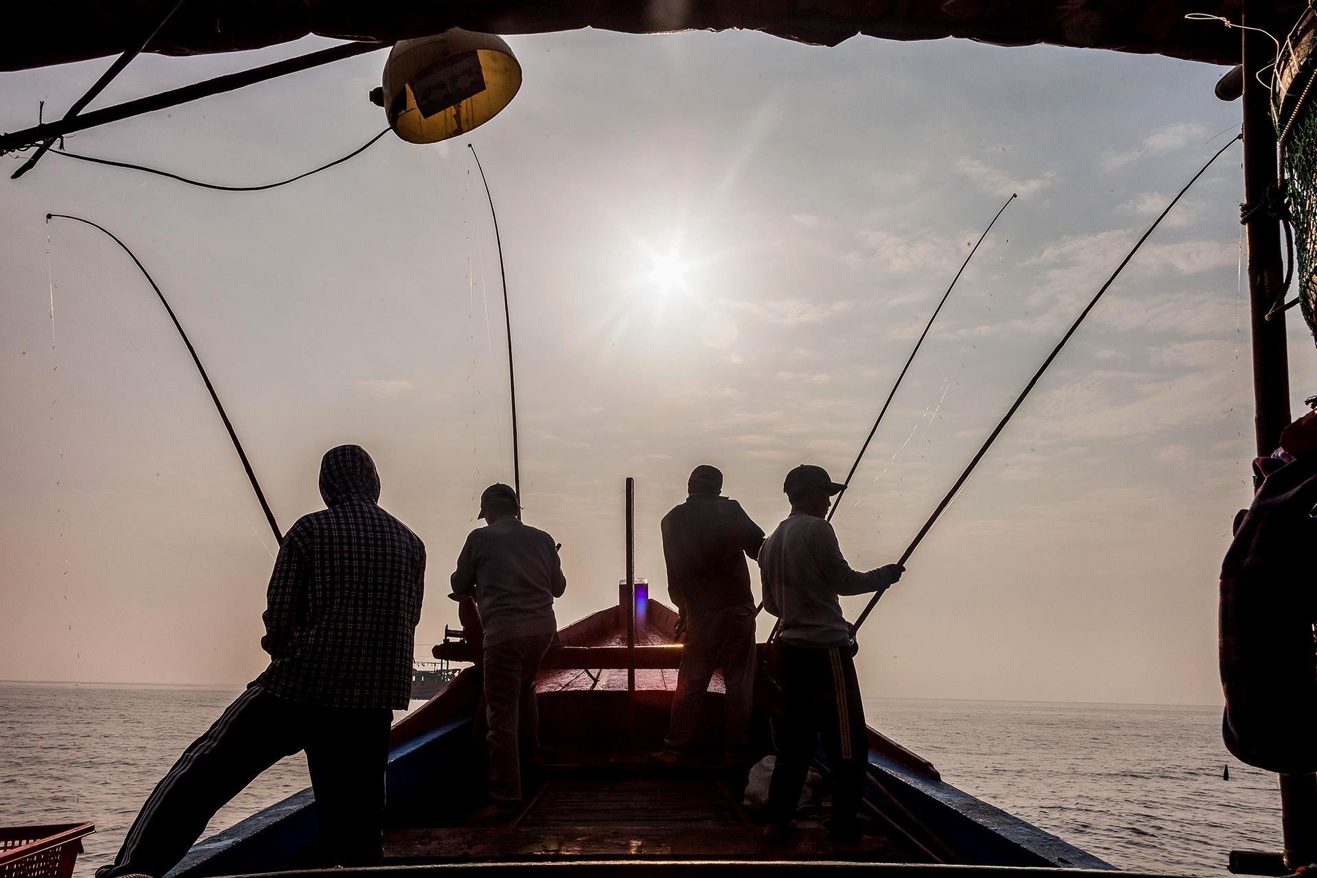 Cau ca ngoai bien dong anh 1