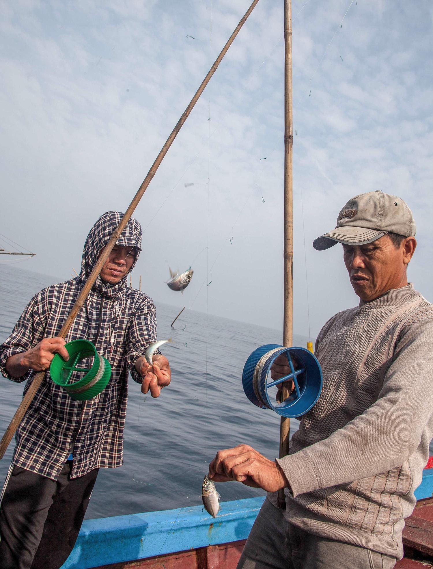 Cau ca ngoai bien dong anh 9