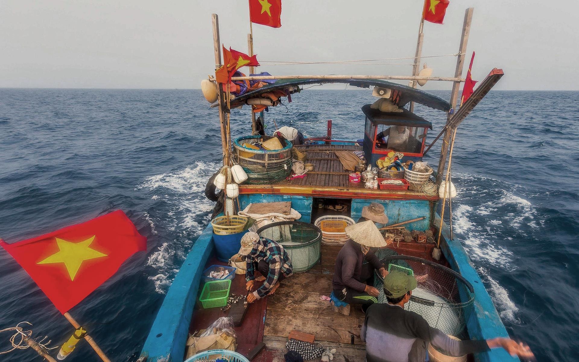 Cau ca ngoai bien dong anh 5