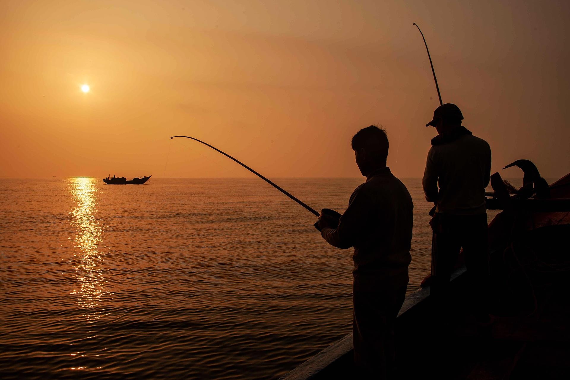 Cau ca ngoai bien dong anh 12