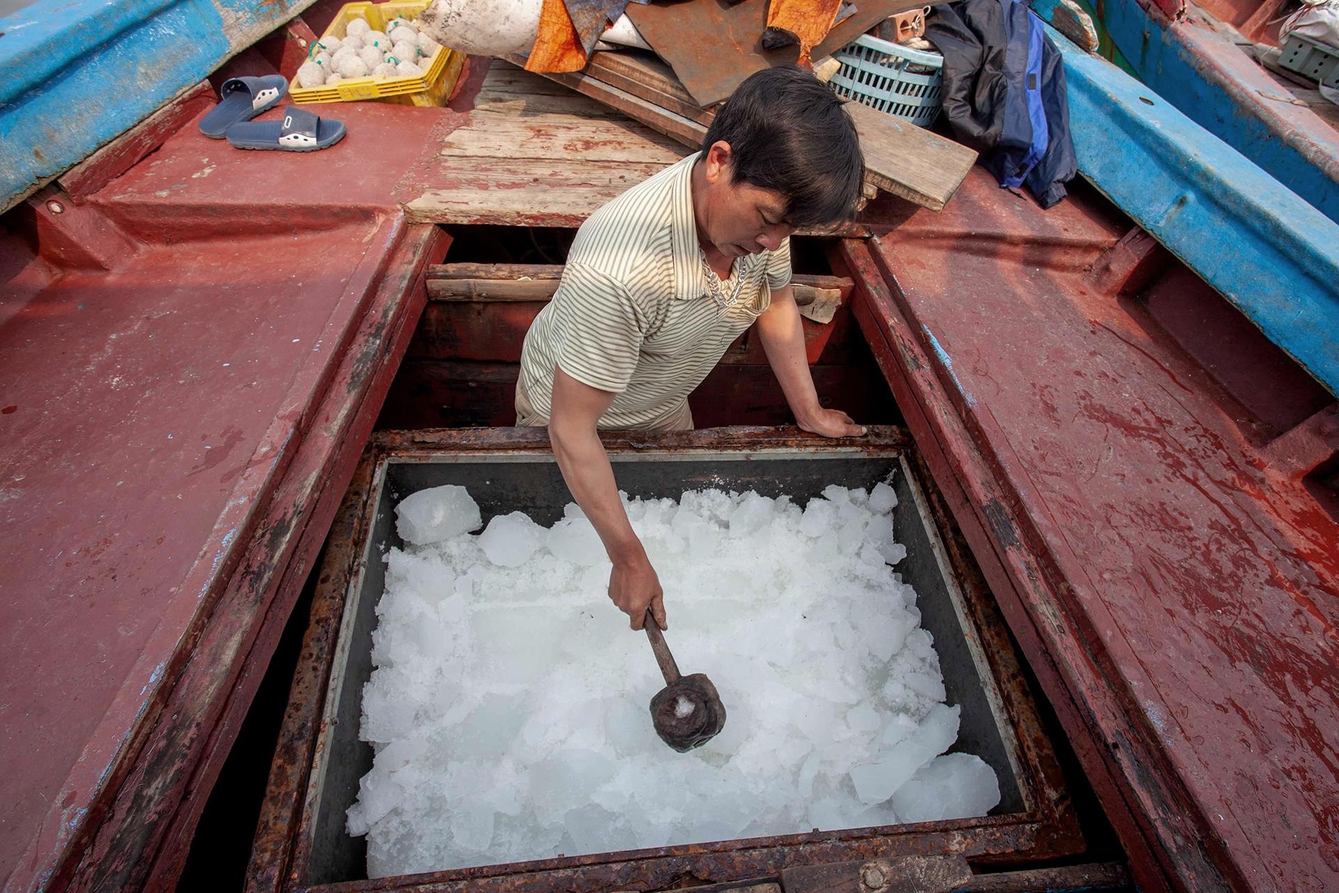 Cau ca ngoai bien dong anh 2