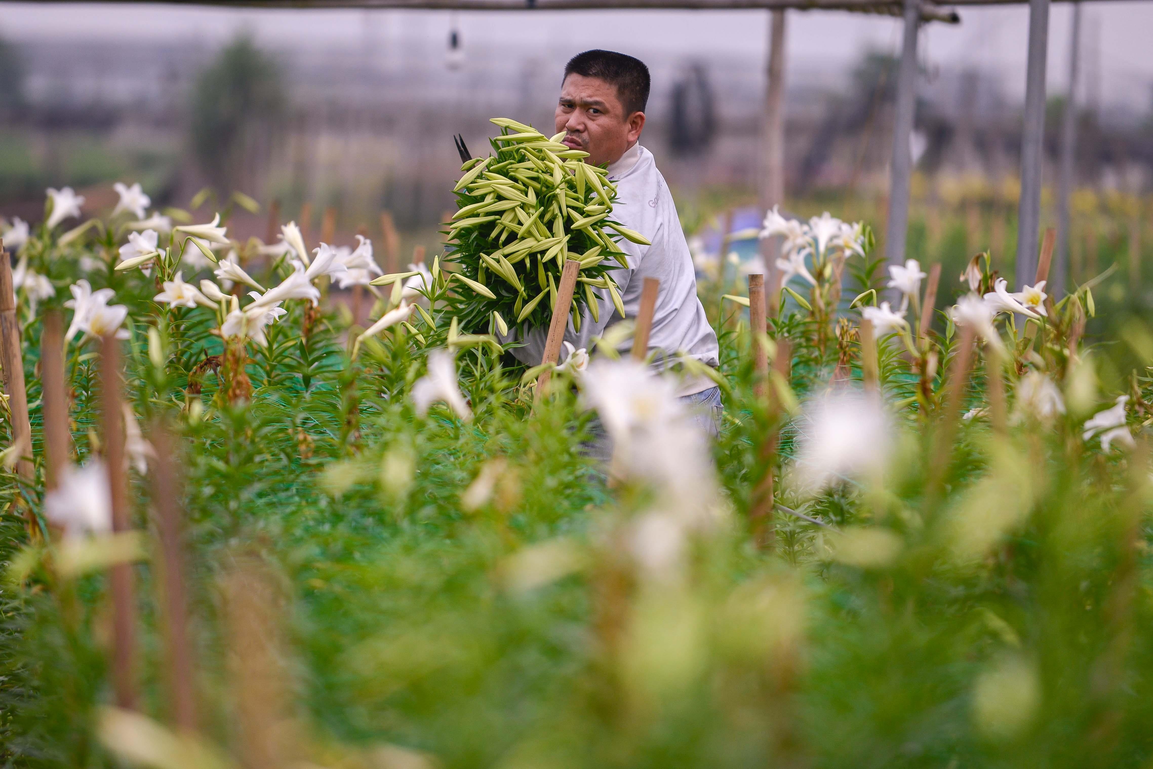loa ken tinh khoi xuong pho anh 2