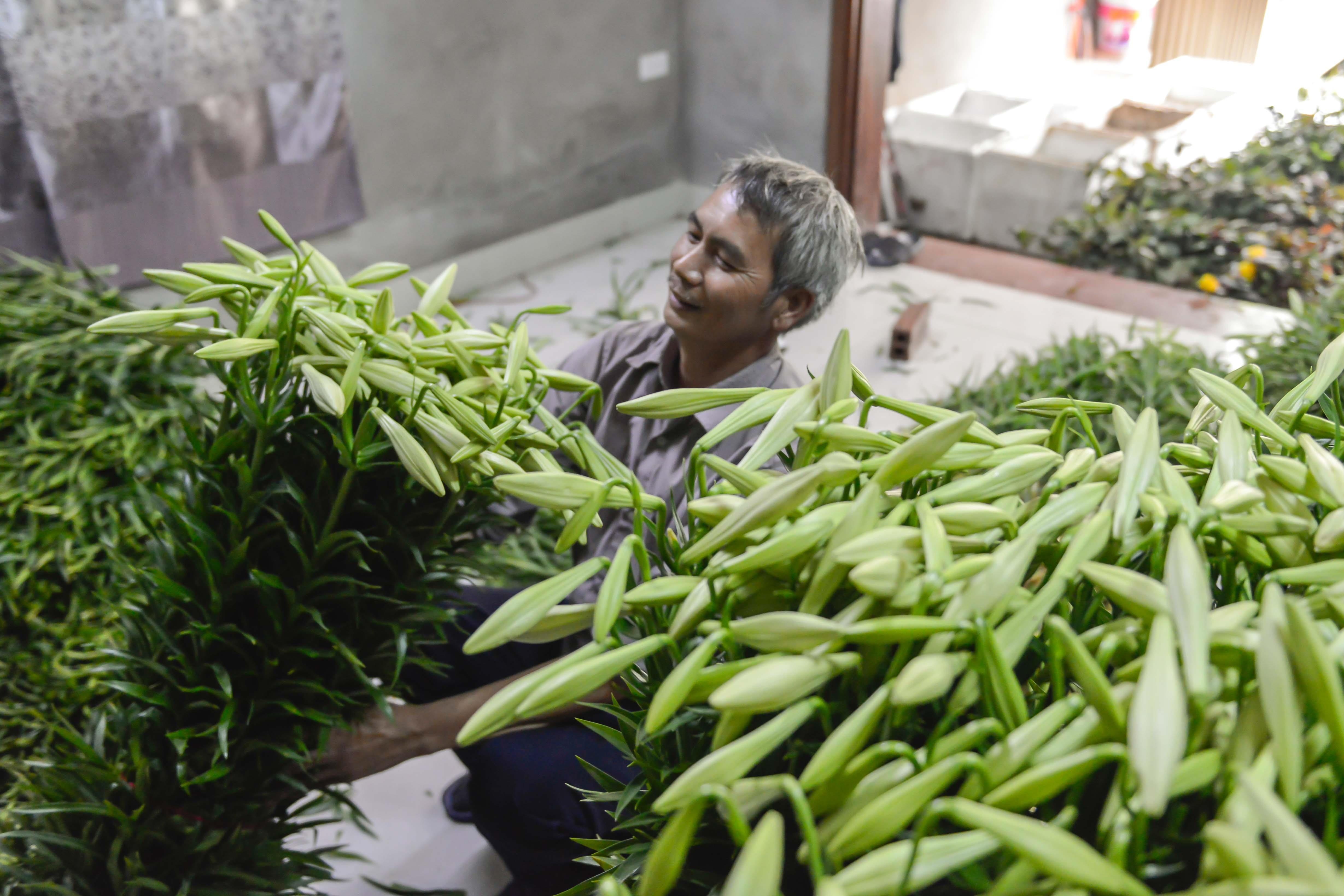 loa ken tinh khoi xuong pho anh 5