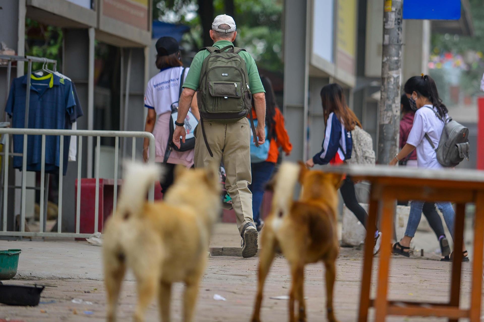 Tiem an nguy hiem tu viec nuoi cho tha rong anh 8