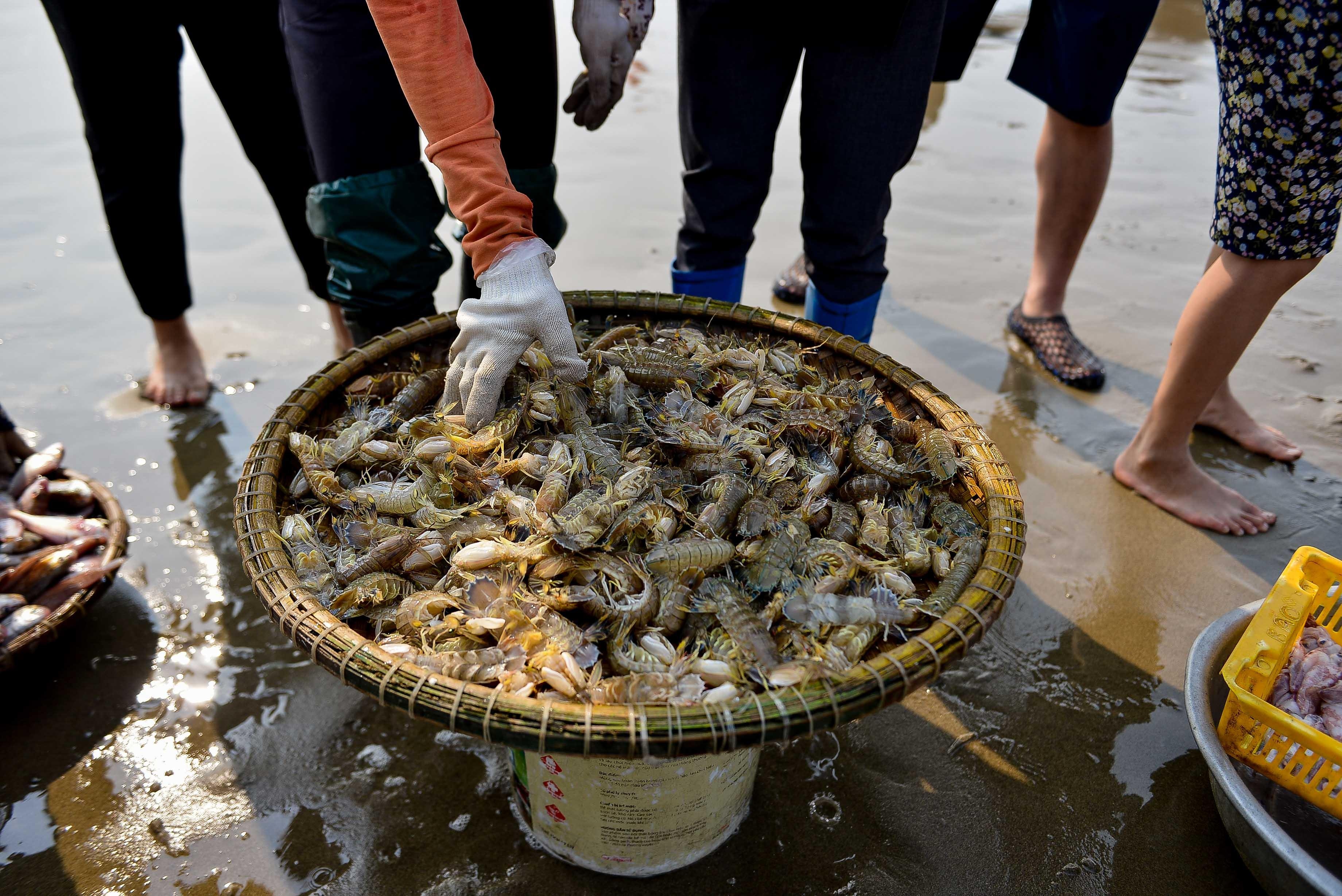 Lang chai yen binh giua pho bien Sam Son anh 10