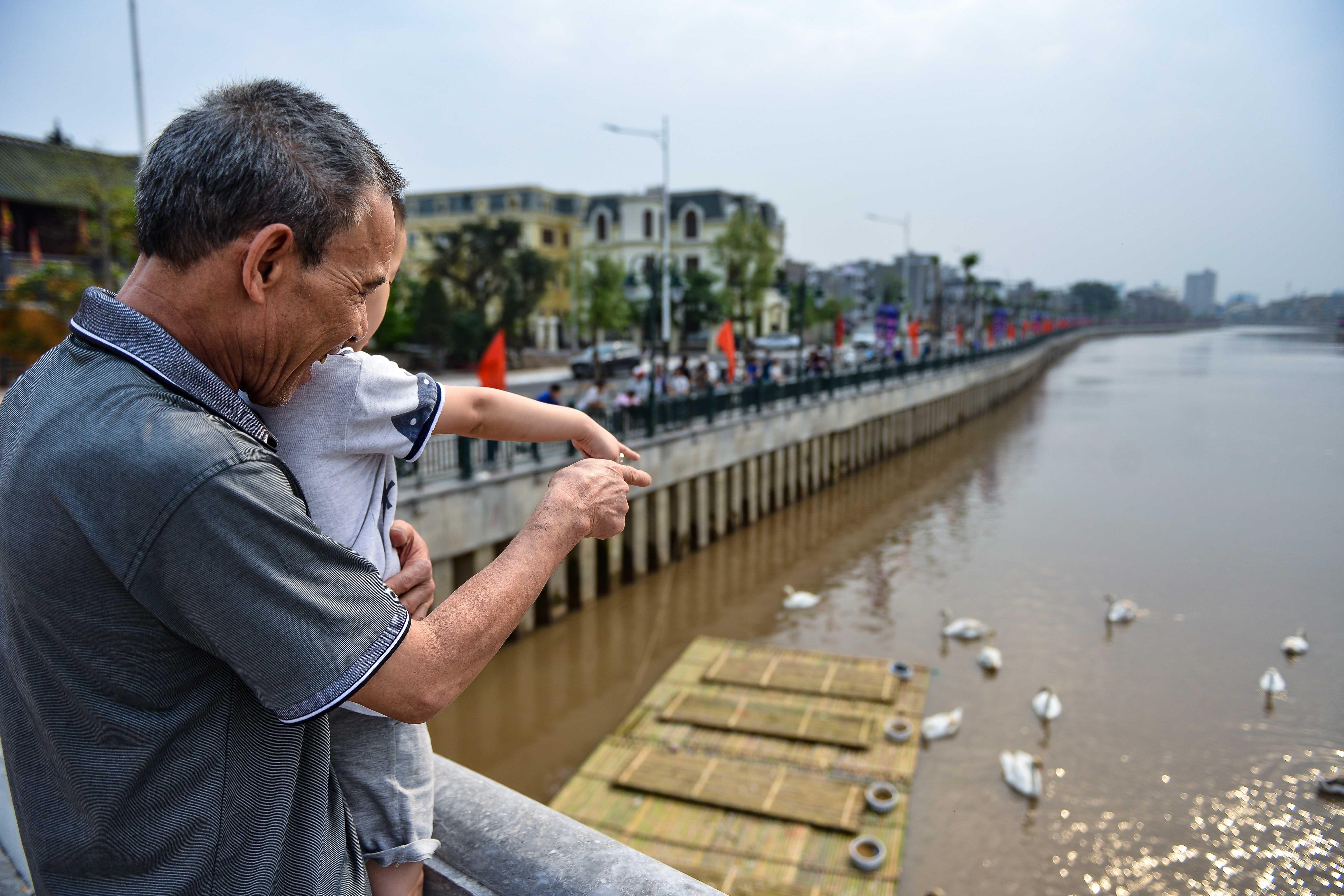 Nguoi dan vay kin hai bo song Tam Bac xem 40 con thien nga hinh anh