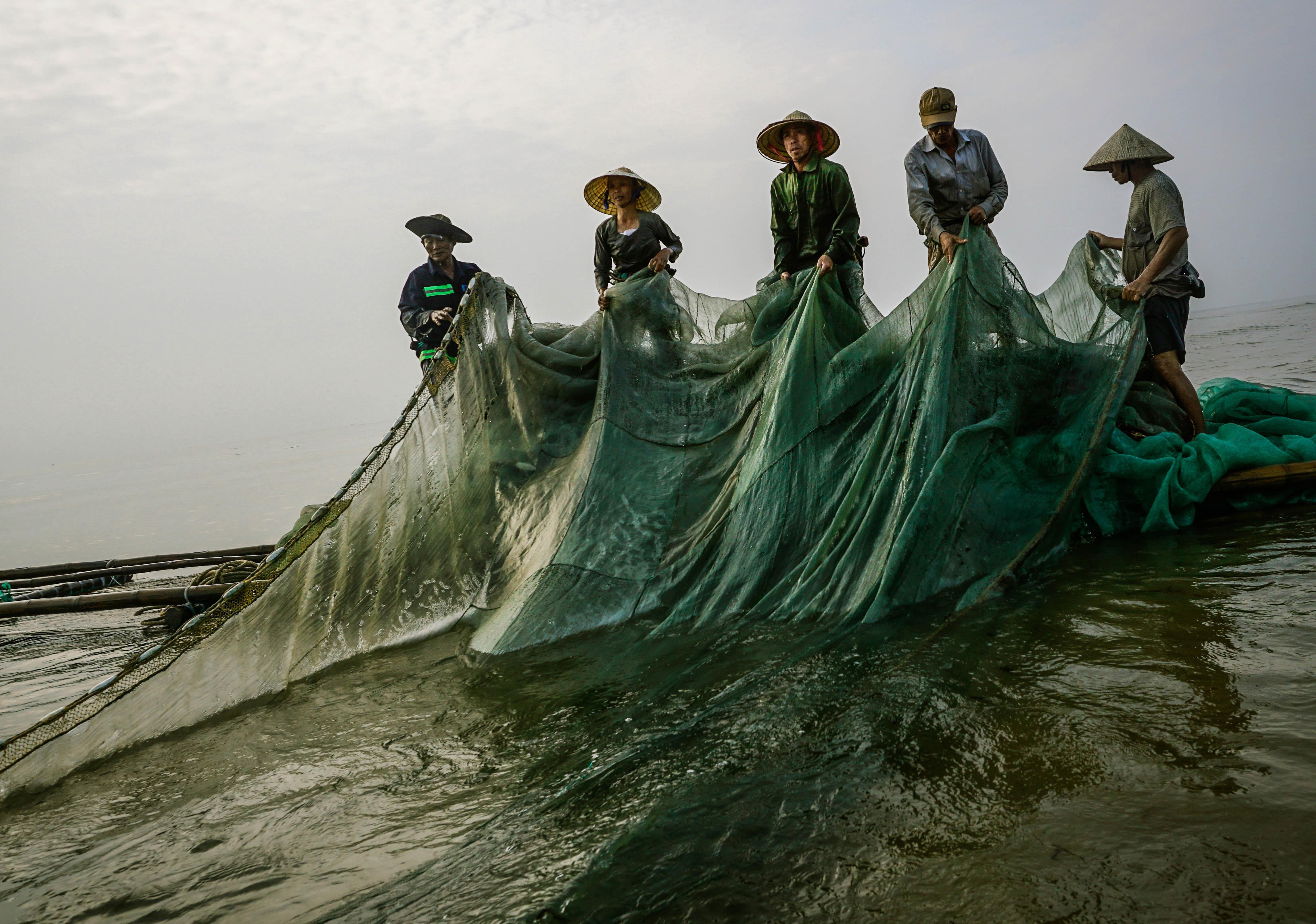 Muu sinh vat va bang nghe di giat lui anh 13