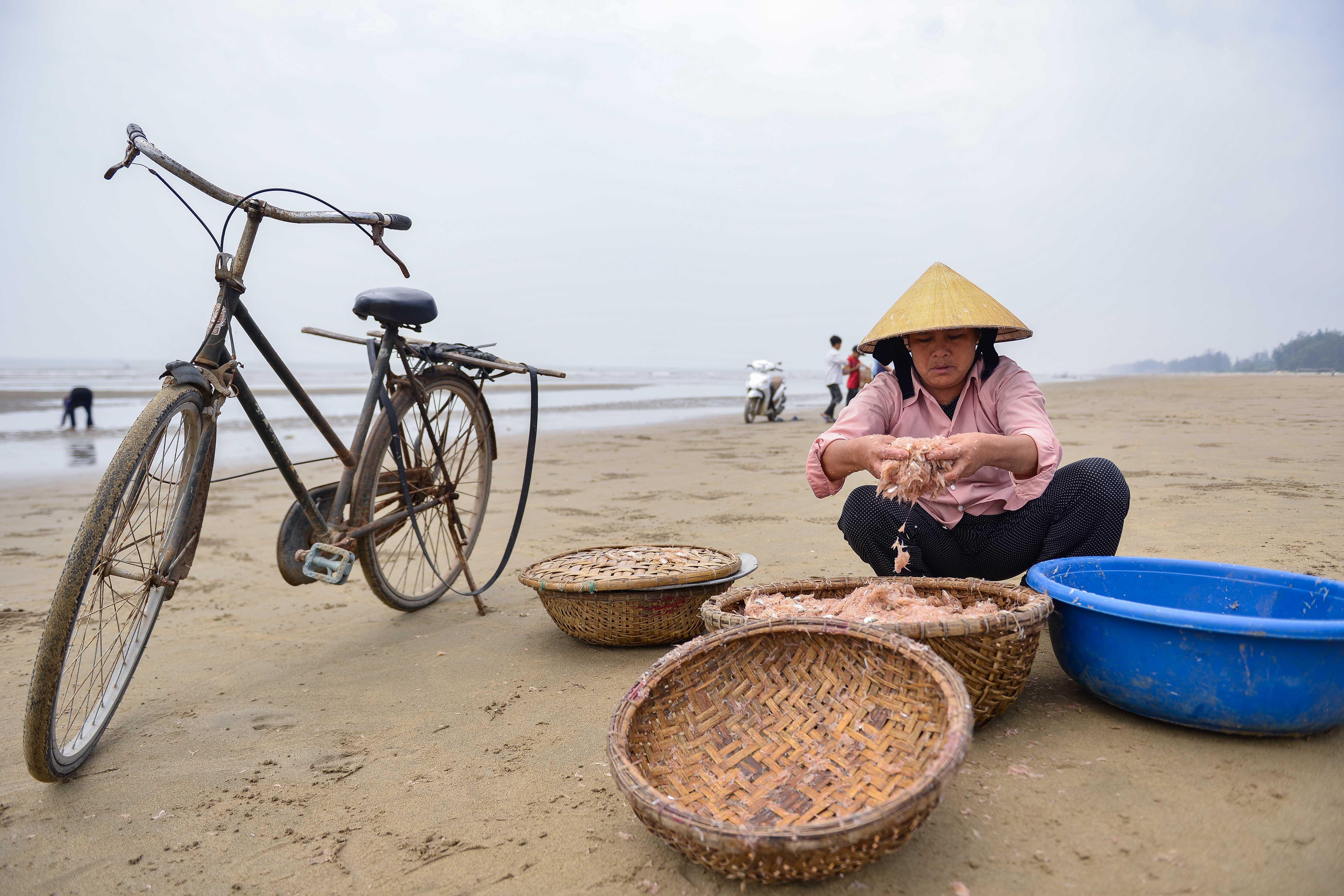Muu sinh vat va bang nghe di giat lui anh 12