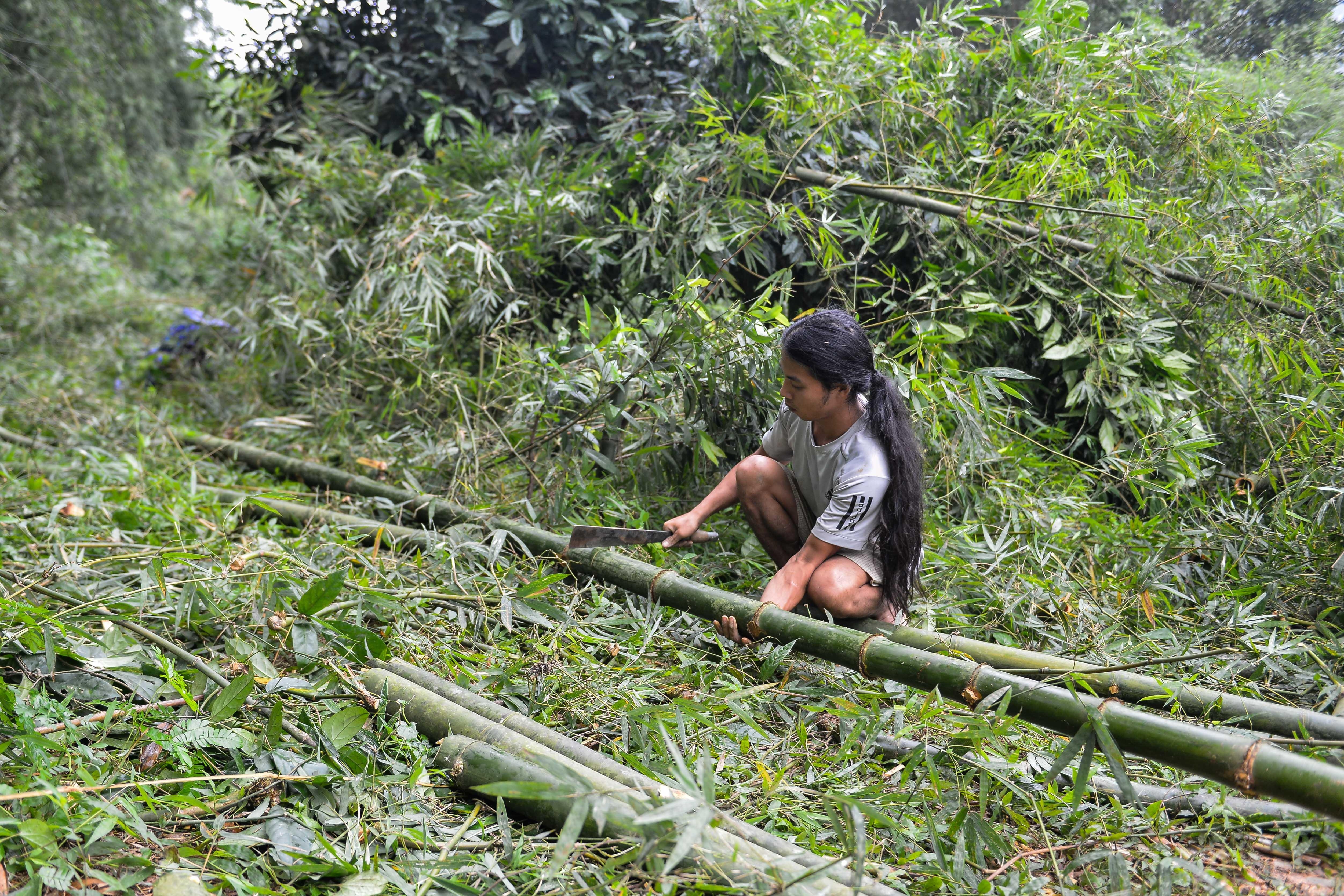 Khoi nghiep tu thia go,  ong hut tre anh 21