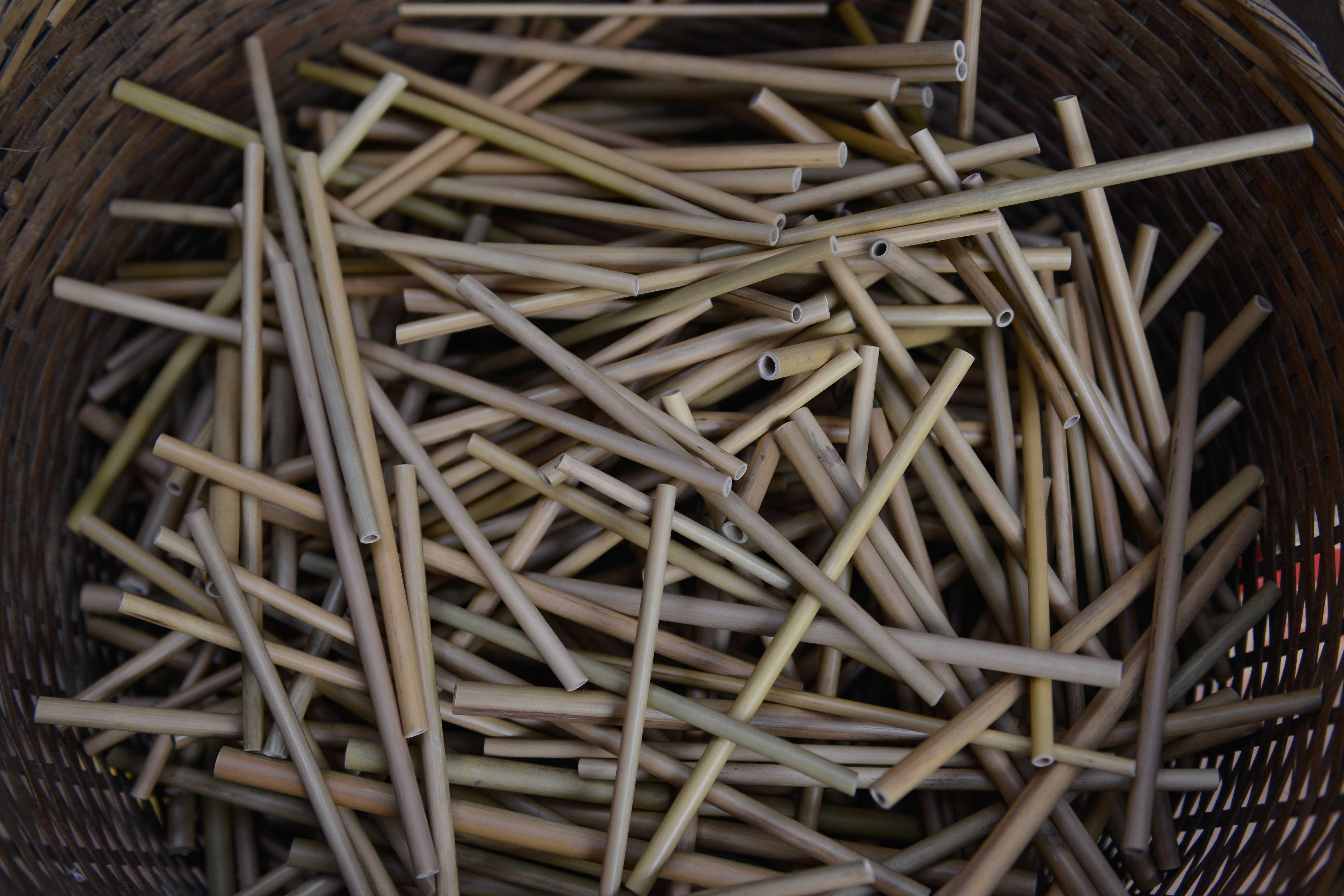 Khoi nghiep tu thia go,  ong hut tre anh 24