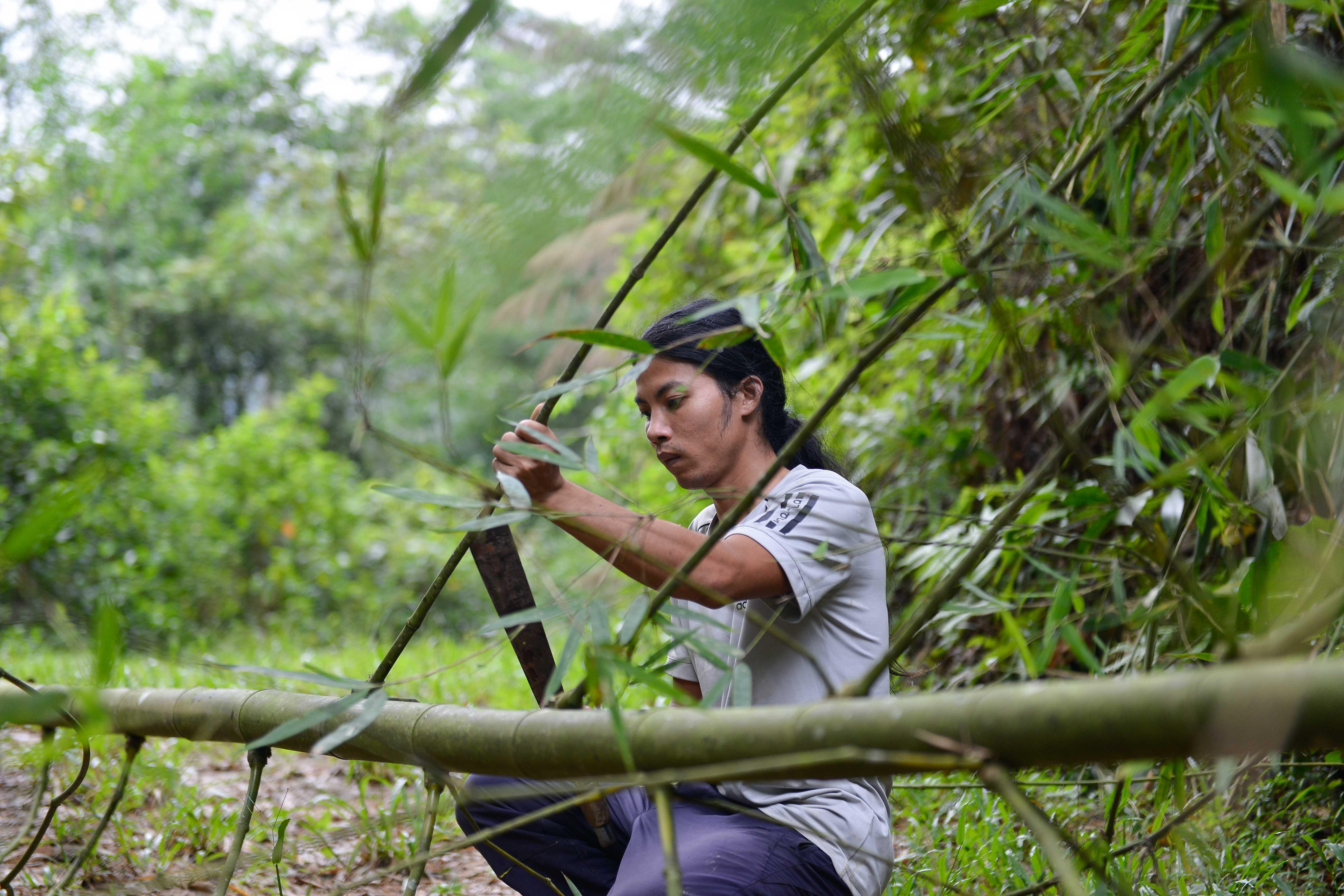 Khoi nghiep tu thia go,  ong hut tre anh 6