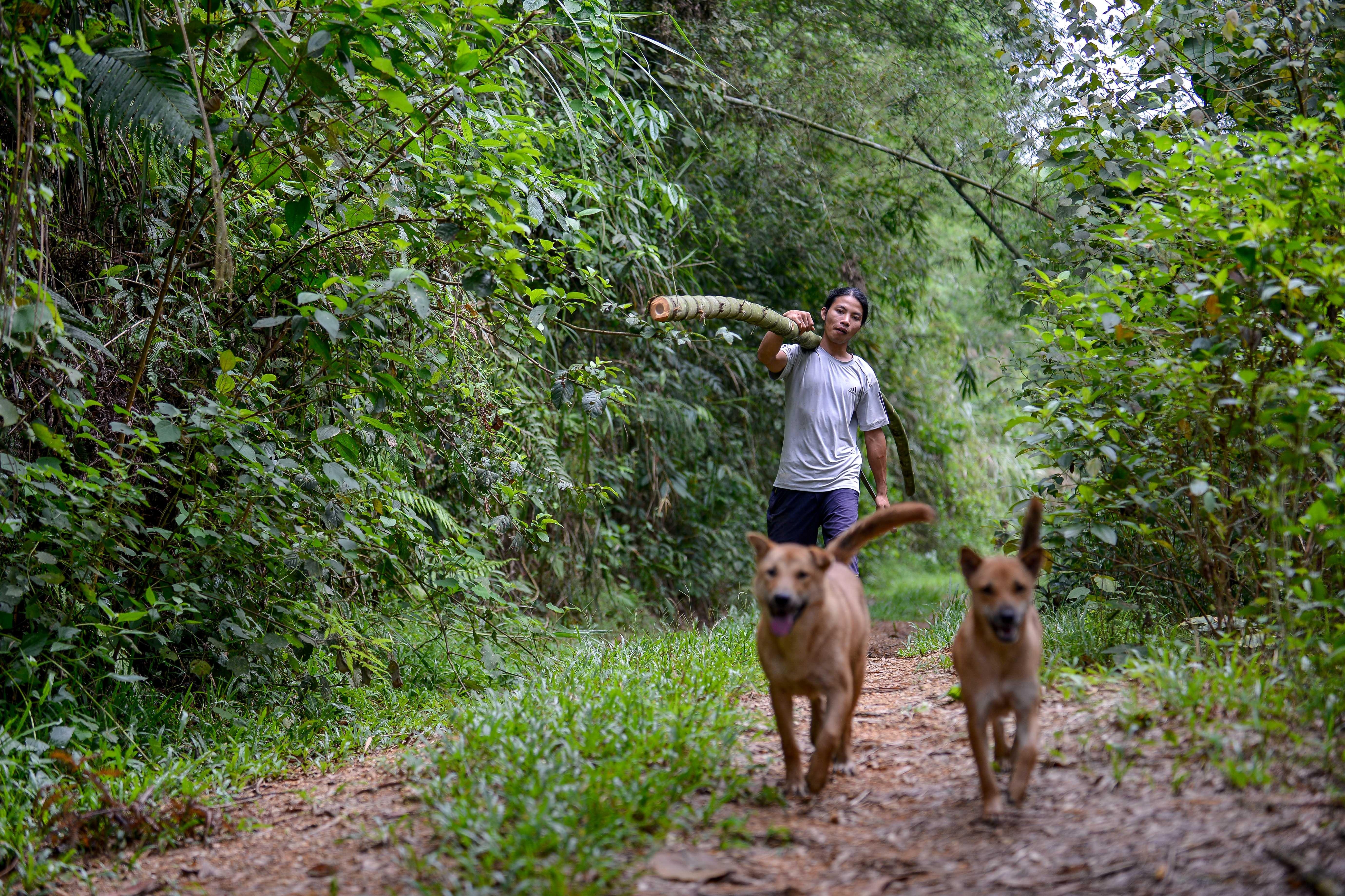 Khoi nghiep tu thia go,  ong hut tre anh 31
