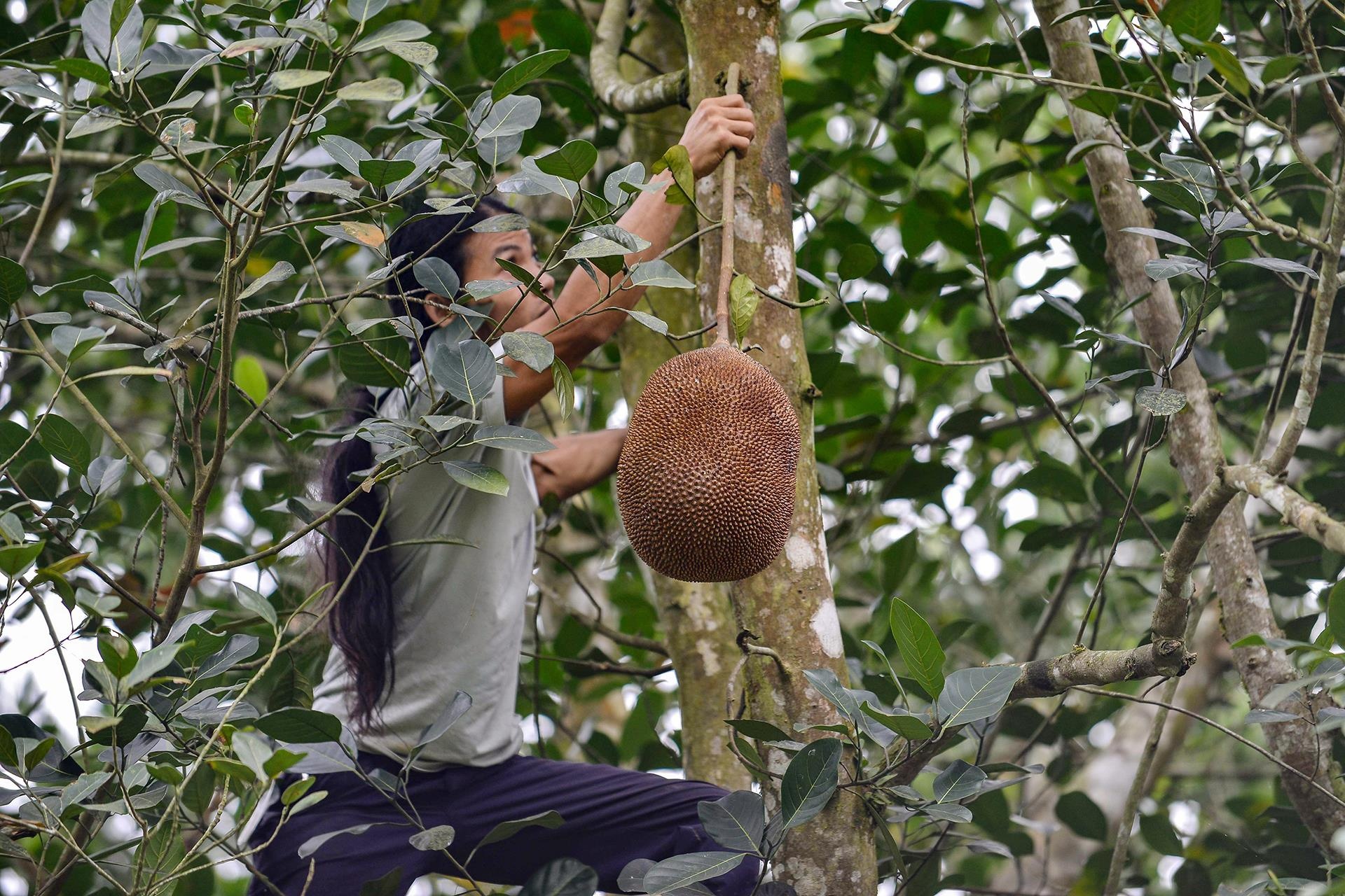 Khoi nghiep tu thia go,  ong hut tre anh 5