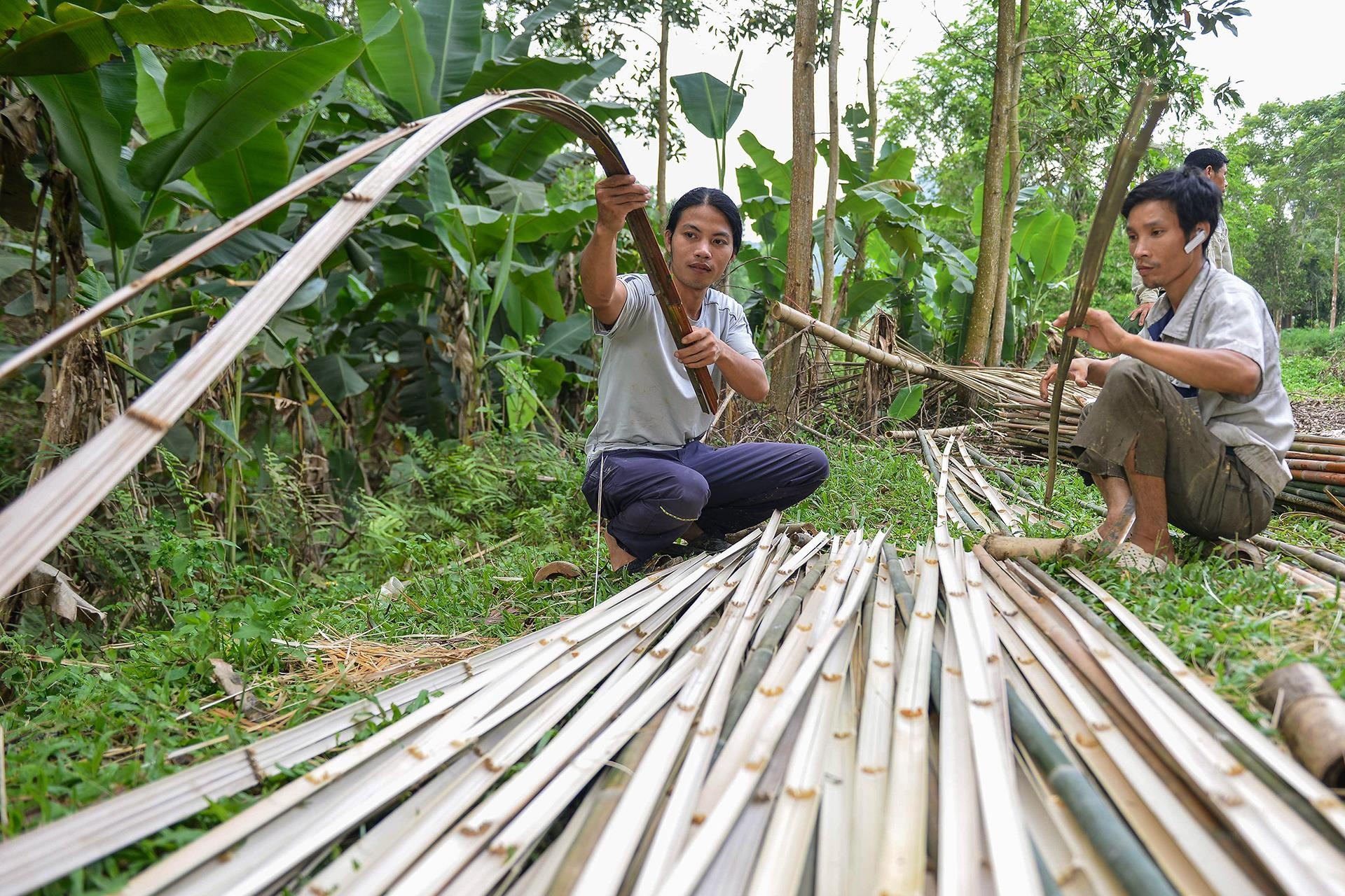 Khoi nghiep tu thia go,  ong hut tre anh 13