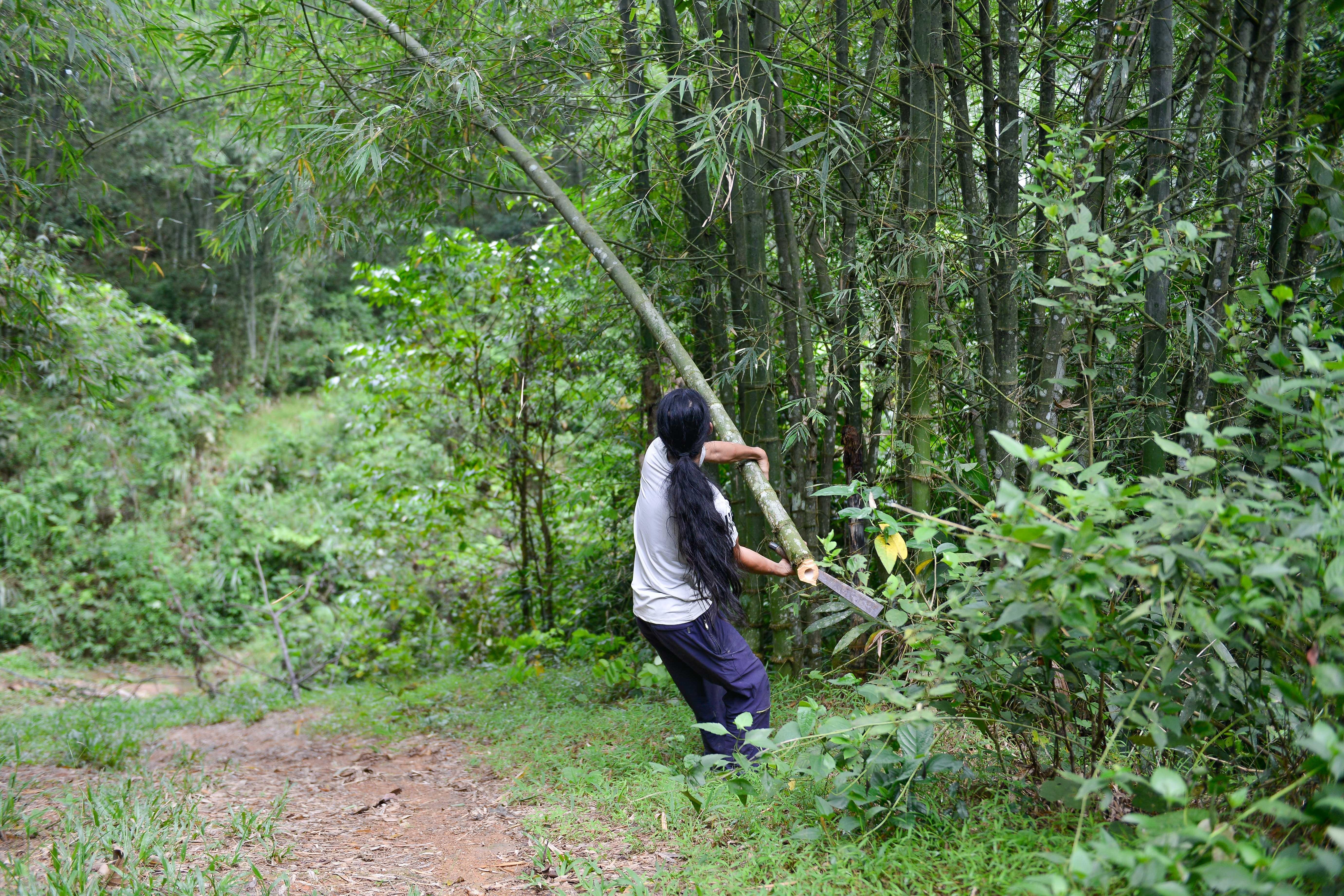 Khoi nghiep tu thia go,  ong hut tre anh 22