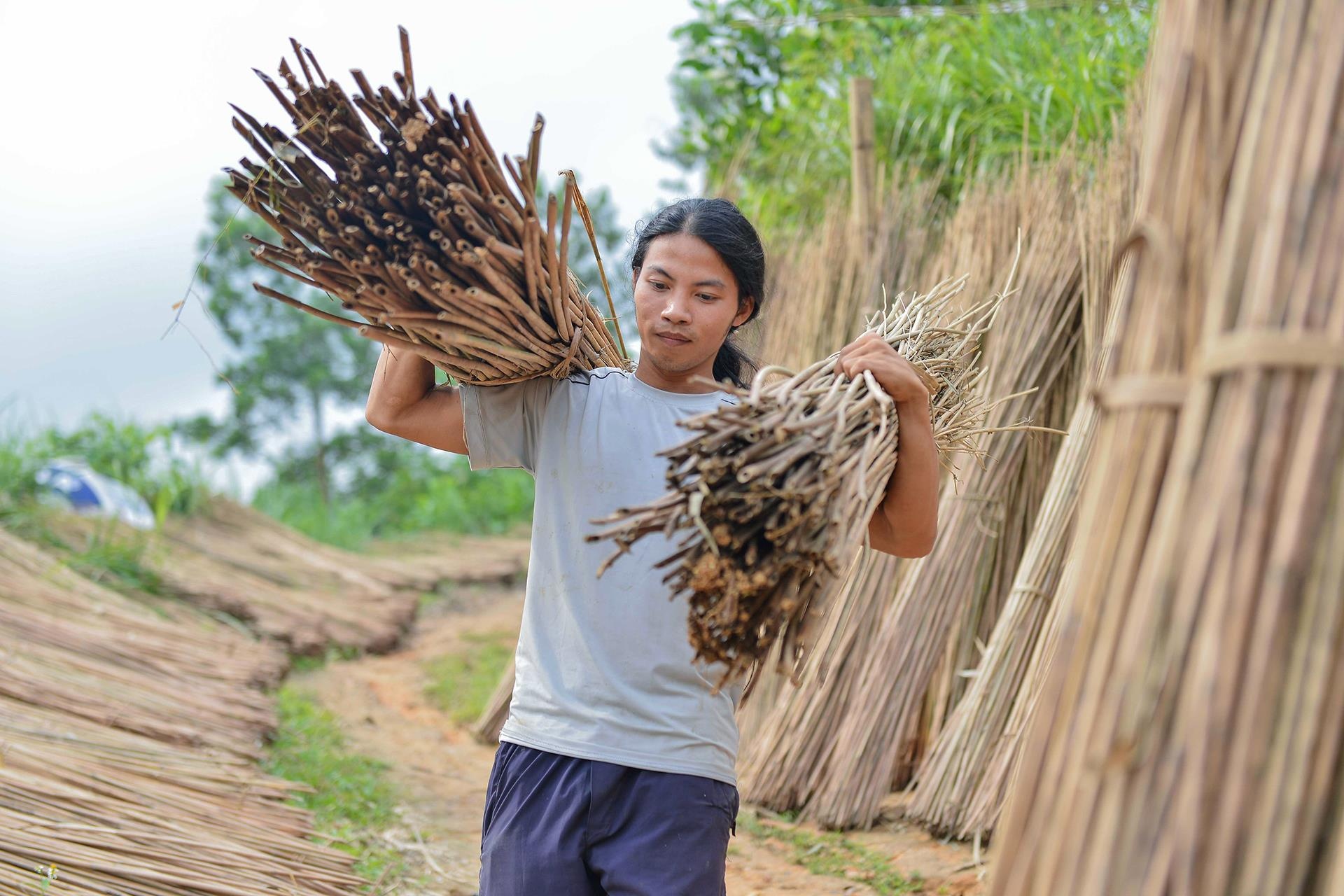 Khoi nghiep tu thia go,  ong hut tre anh 15