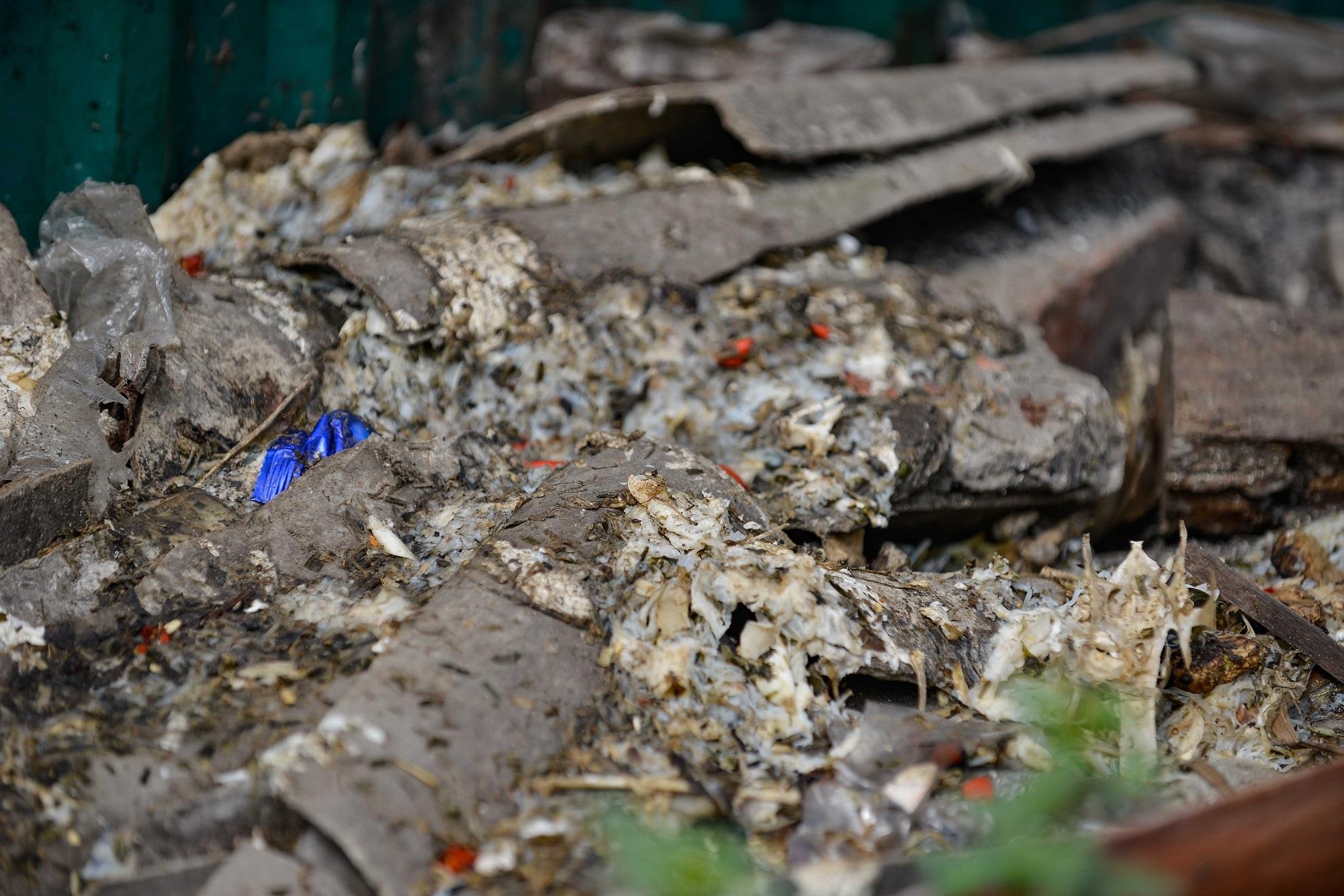 Diem den un tac truong chinh anh 11