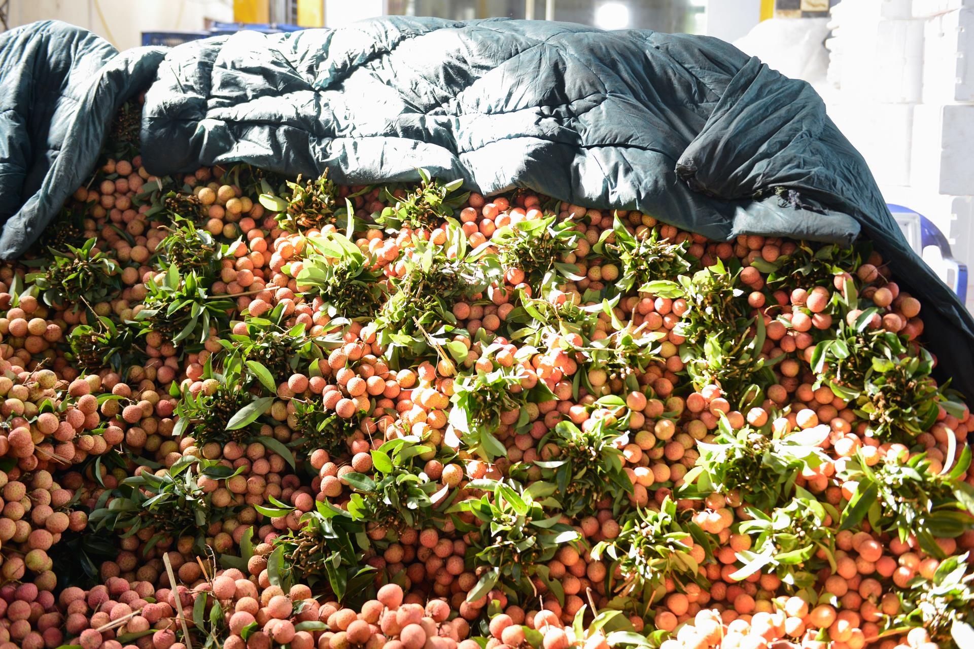 Xe vai thieu un un keo xuong cho ven quoc lo anh 9