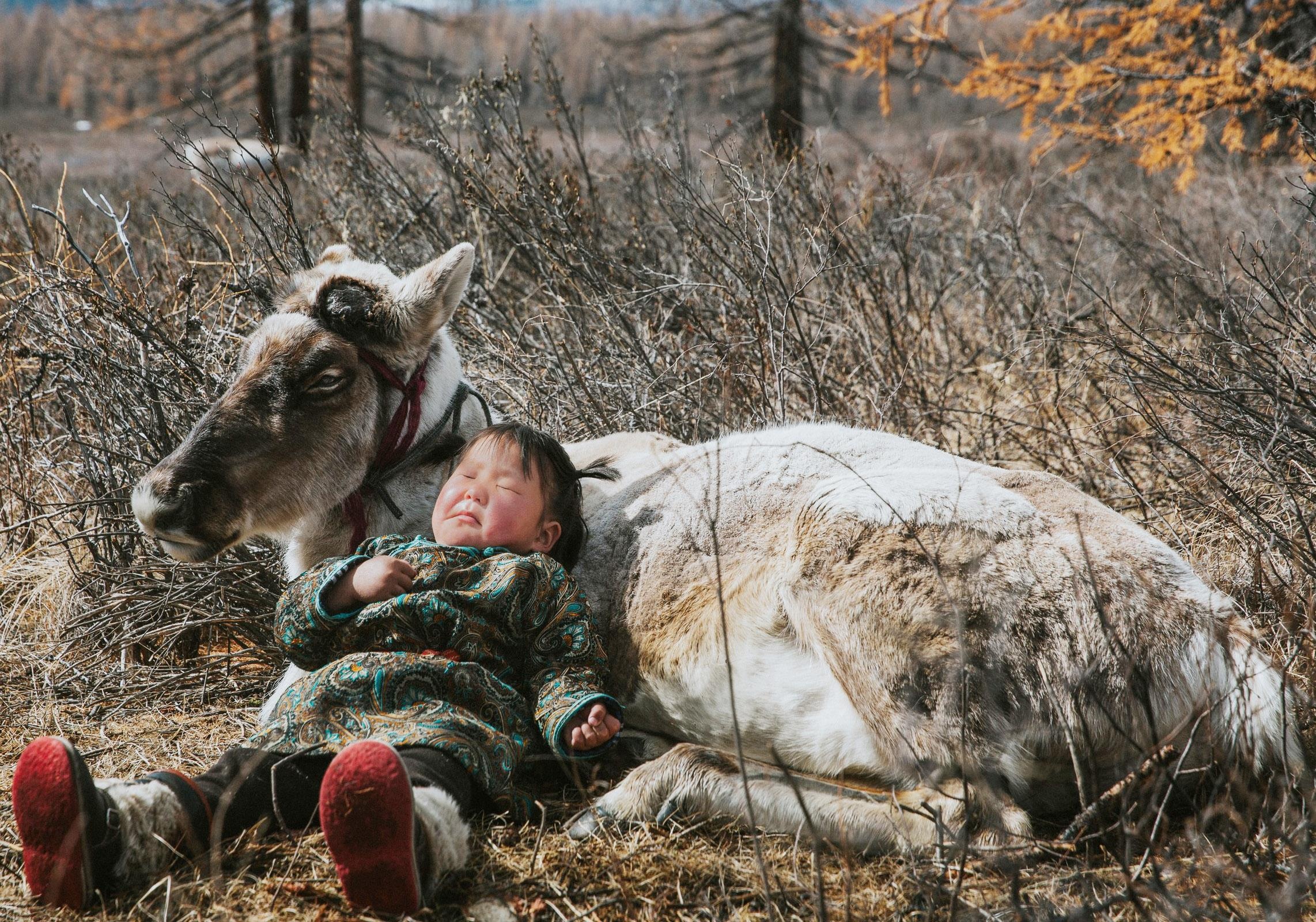 Sinh vien sang Mong Co lam bai tot nghiep ve anh bao chi hinh anh