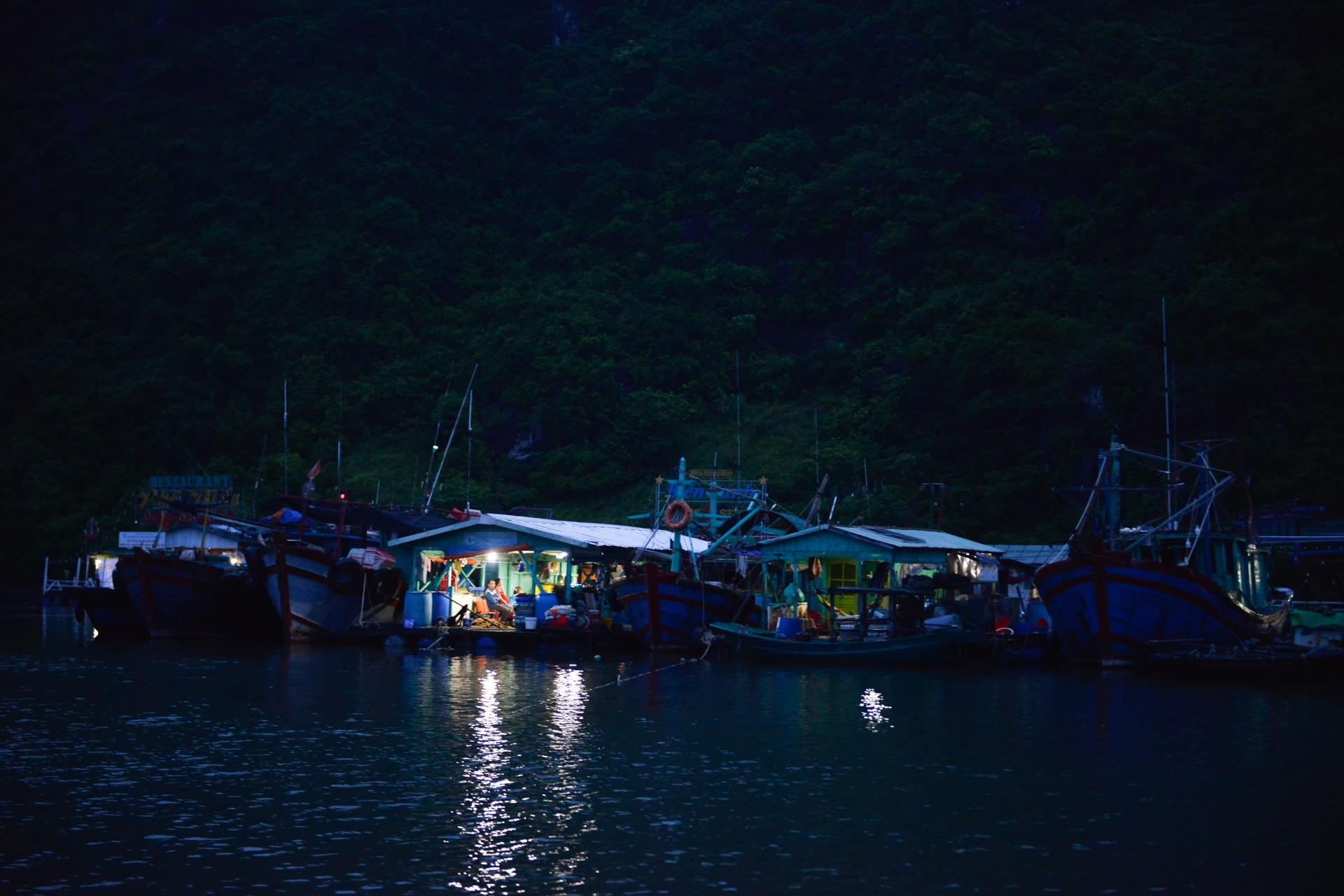 Nguoi dan lo doi pho bao,  du khach hon nhien tam anh 12