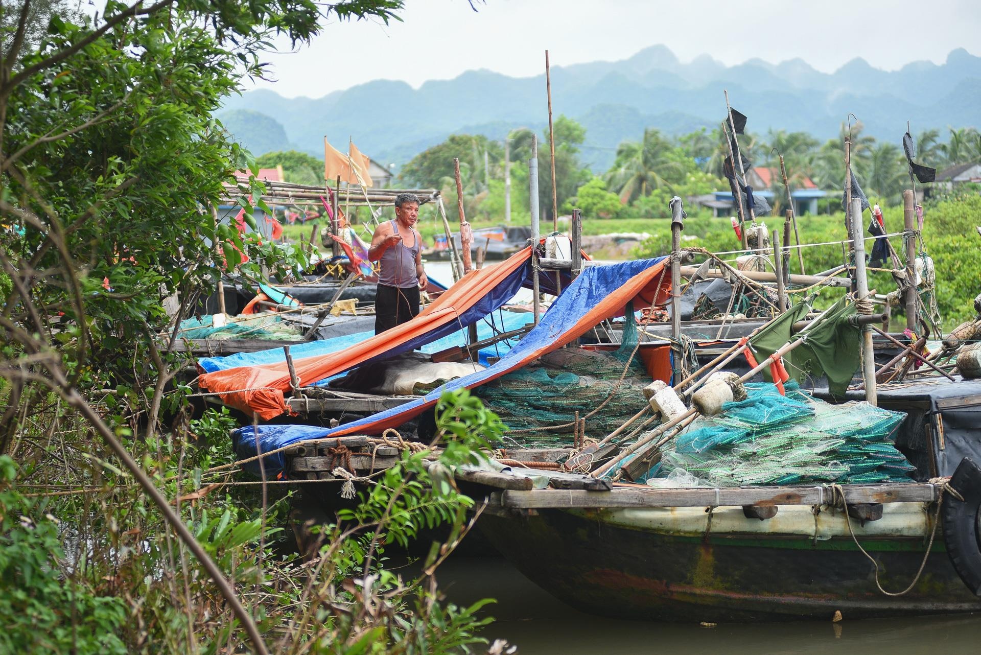 Nguoi dan lo doi pho bao,  du khach hon nhien tam anh 9