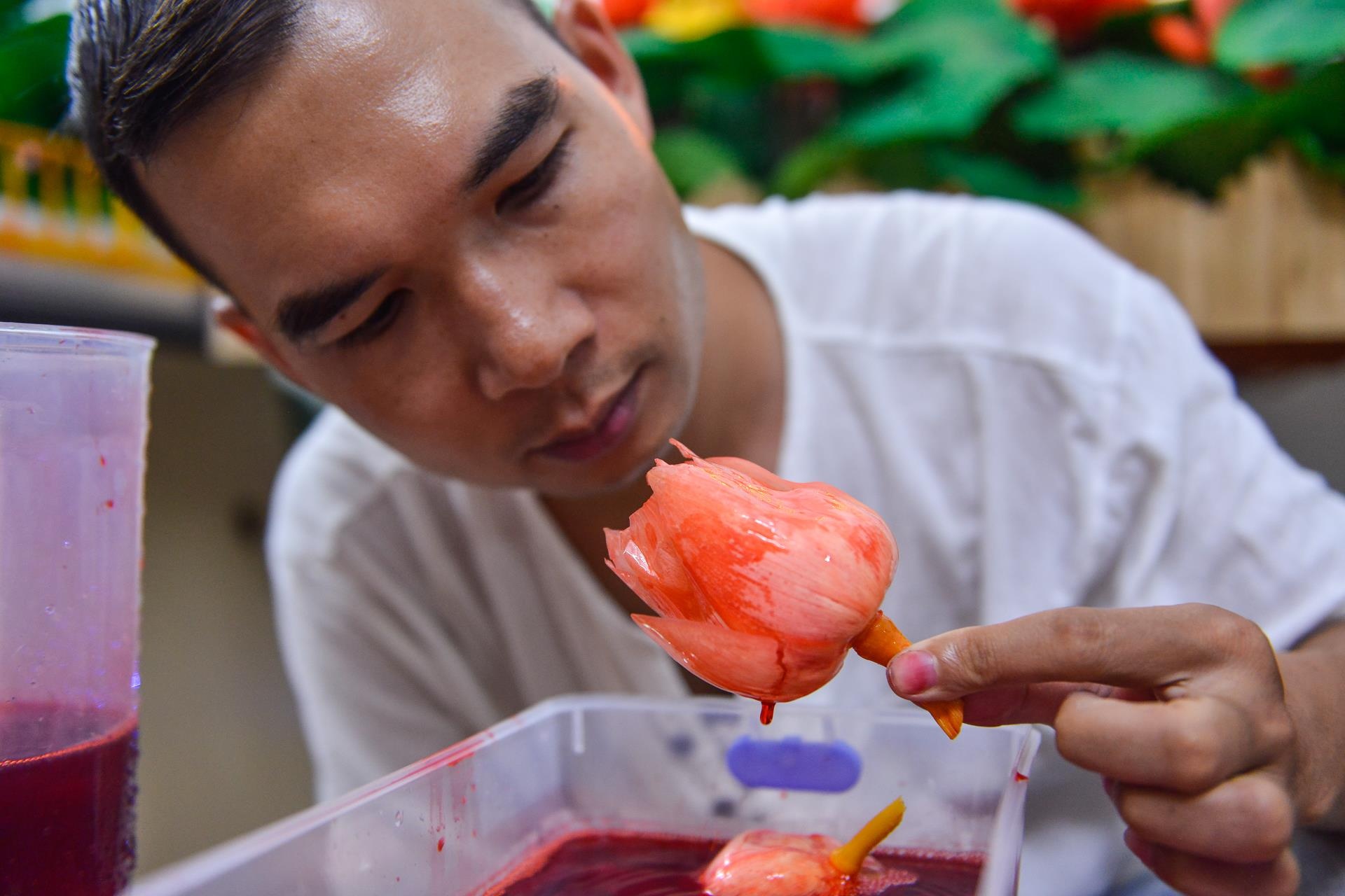 khởi ngiệp, công việc nghìn đô, hoa sen bất tử ảnh 12 khoi ngiep, cong viec nghin do, hoa sen bat tu anh 12