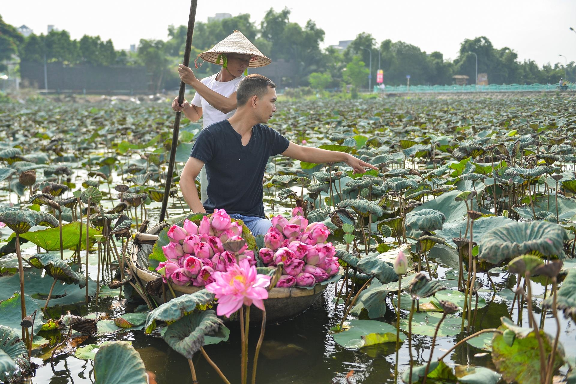 khoi ngiep,  cong viec nghin do,  hoa sen bat tu anh 2