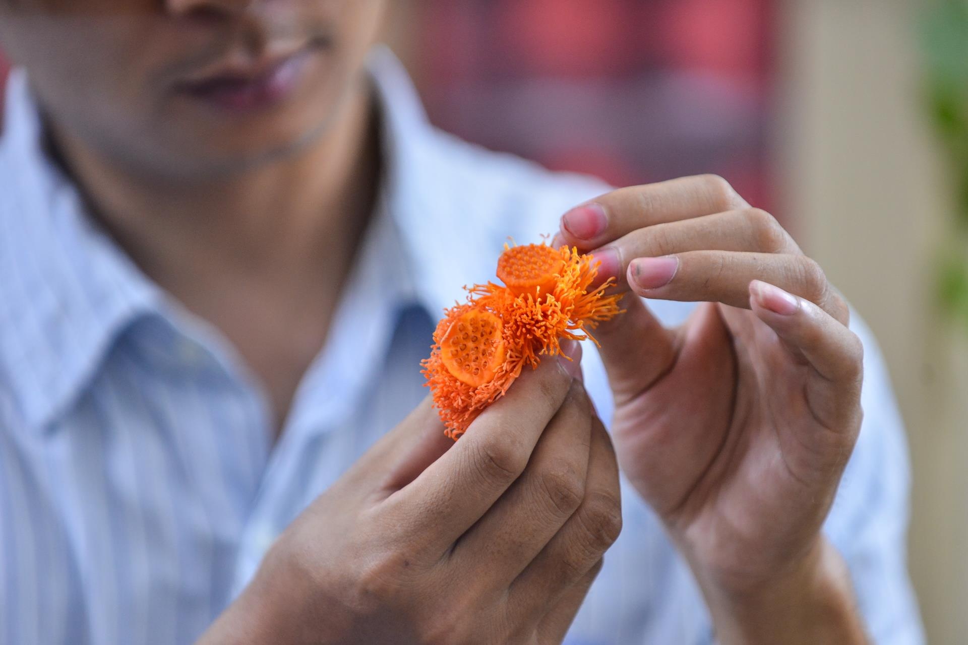 khởi ngiệp, công việc nghìn đô, hoa sen bất tử ảnh 16 khoi ngiep, cong viec nghin do, hoa sen bat tu anh 16