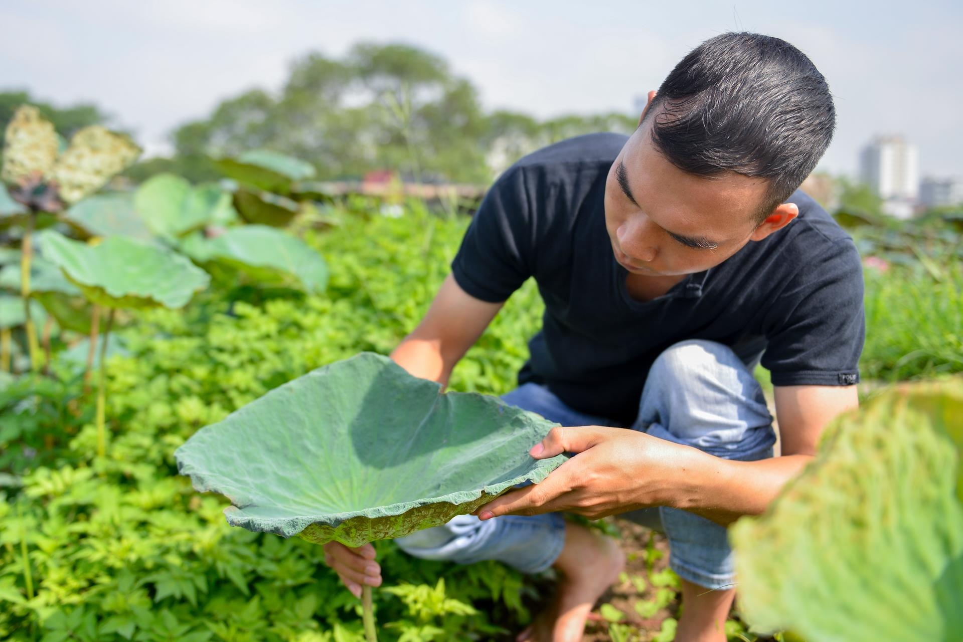 khoi ngiep,  cong viec nghin do,  hoa sen bat tu anh 3