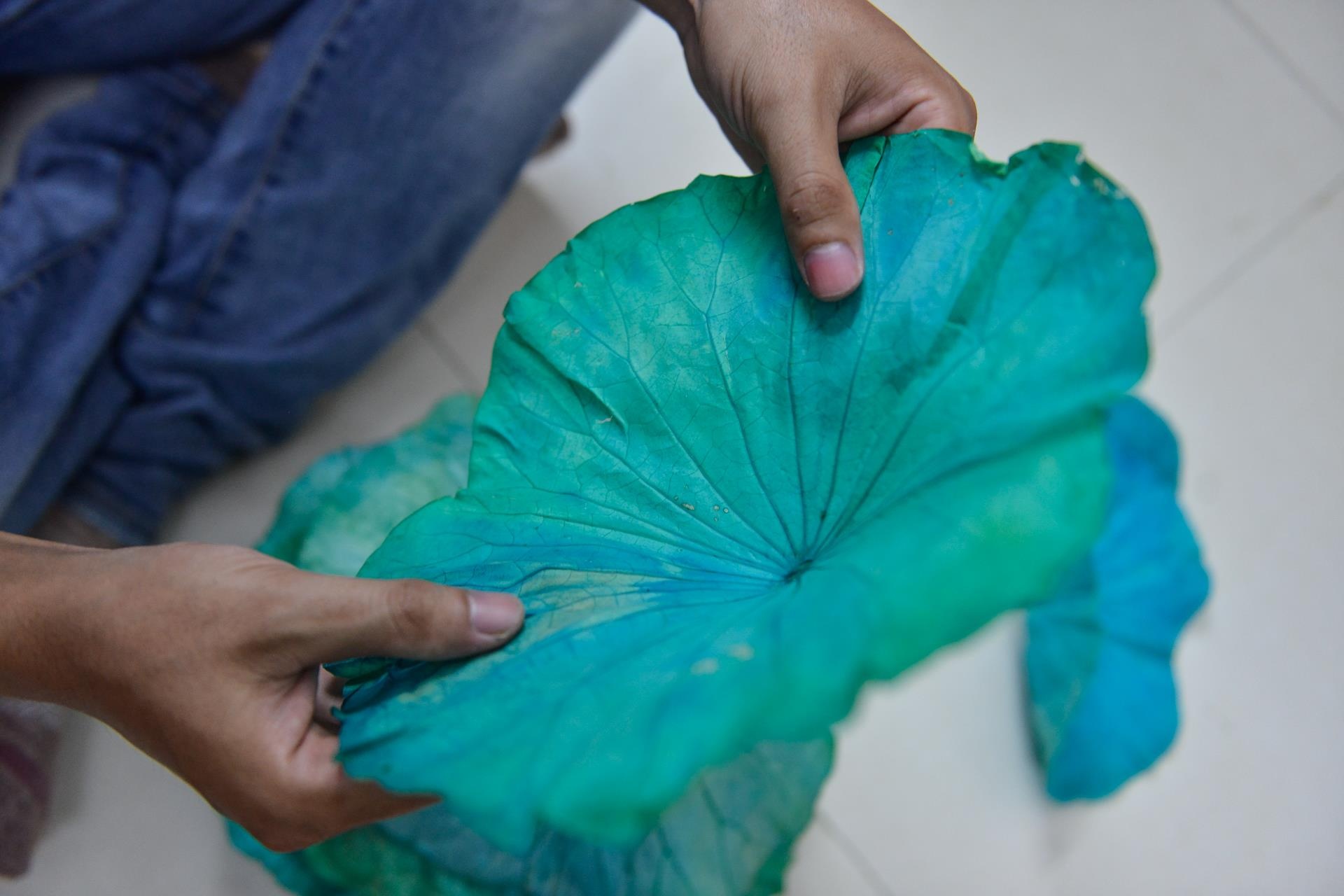 khởi ngiệp, công việc nghìn đô, hoa sen bất tử ảnh 18 khoi ngiep, cong viec nghin do, hoa sen bat tu anh 18