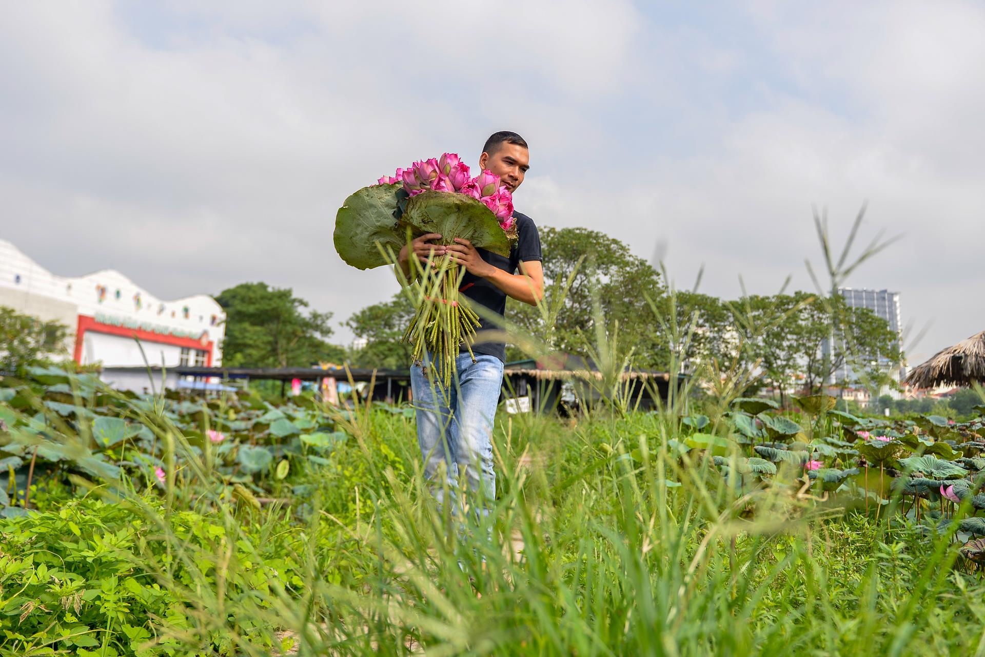 khởi ngiệp, công việc nghìn đô, hoa sen bất tử ảnh 31 khoi ngiep, cong viec nghin do, hoa sen bat tu anh 31