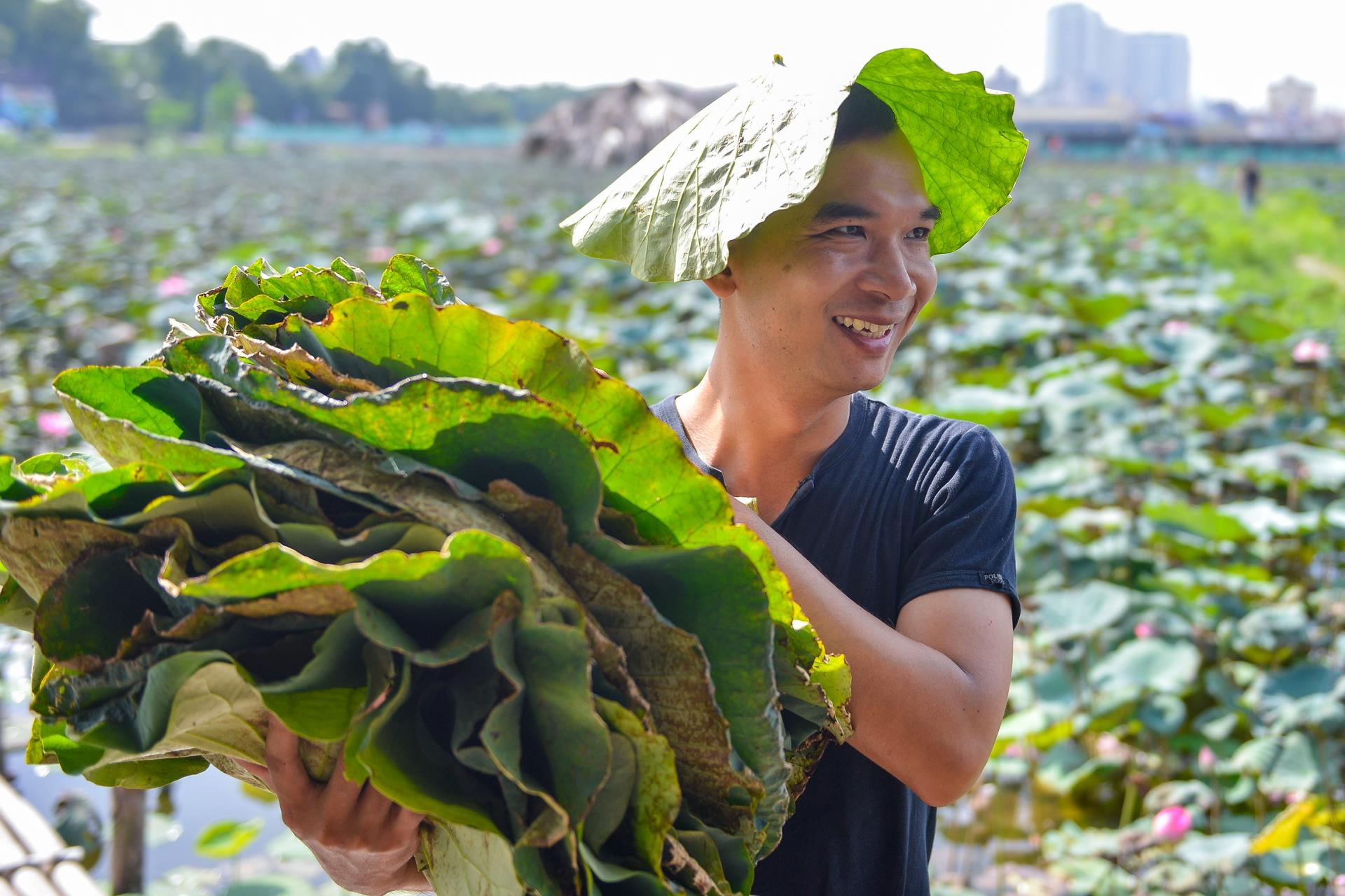 khởi ngiệp, công việc nghìn đô, hoa sen bất tử ảnh 1 khoi ngiep, cong viec nghin do, hoa sen bat tu anh 1