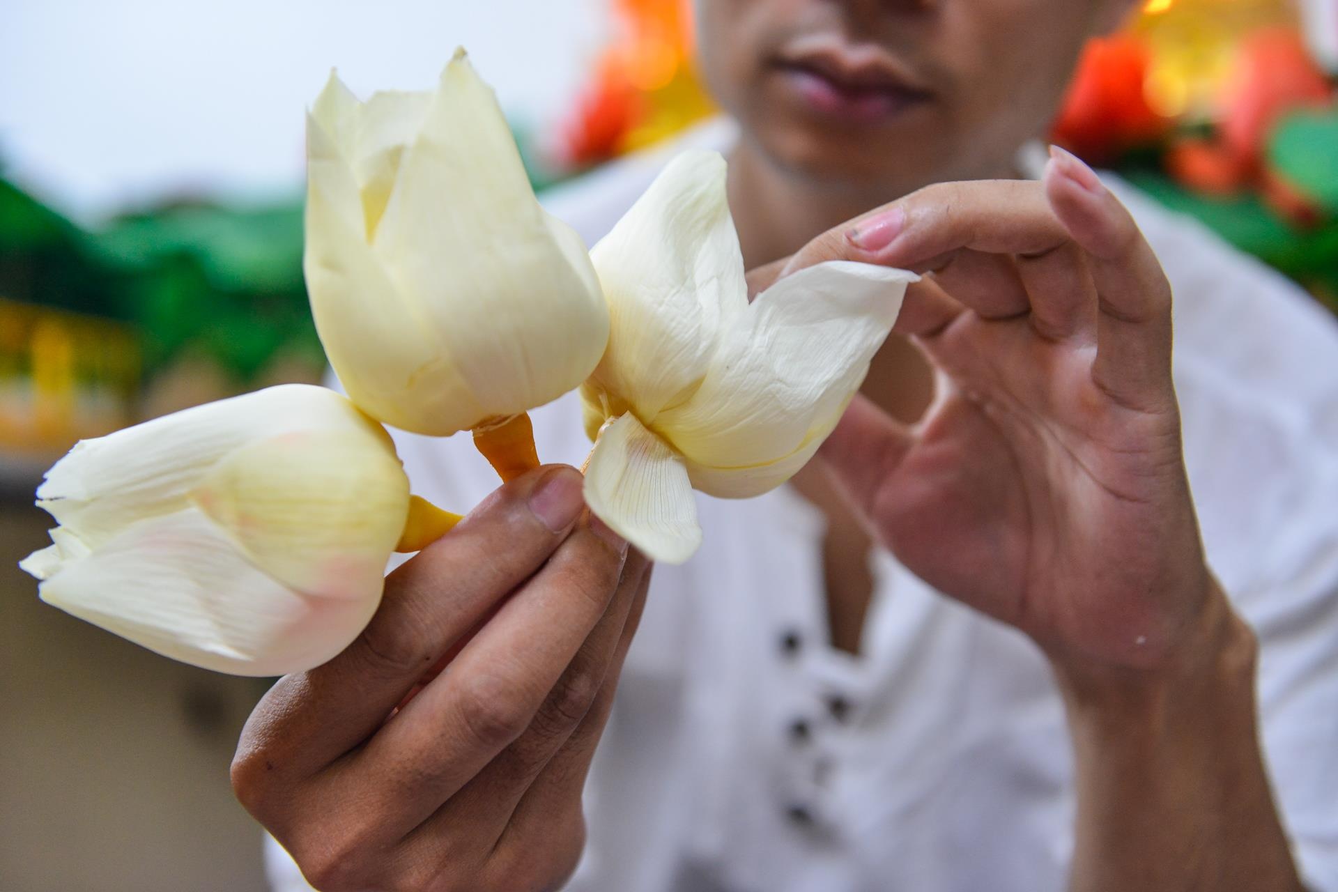 khởi ngiệp, công việc nghìn đô, hoa sen bất tử ảnh 9 khoi ngiep, cong viec nghin do, hoa sen bat tu anh 9