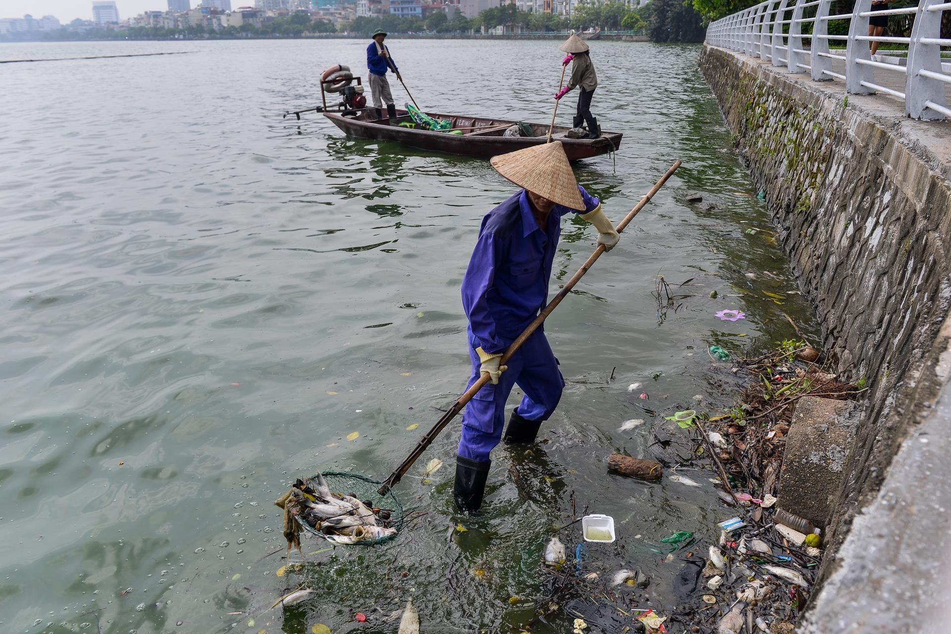 Ca chet o Ho Tay anh 10