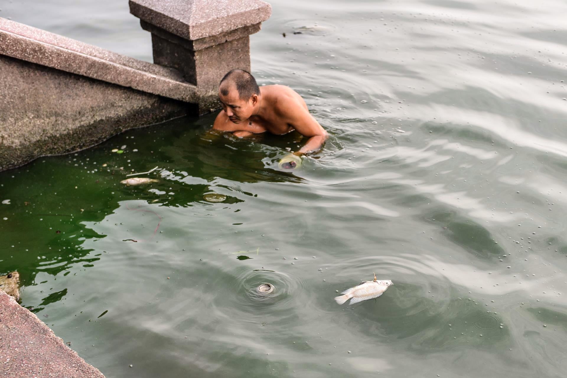 Ca chet o Ho Tay anh 9