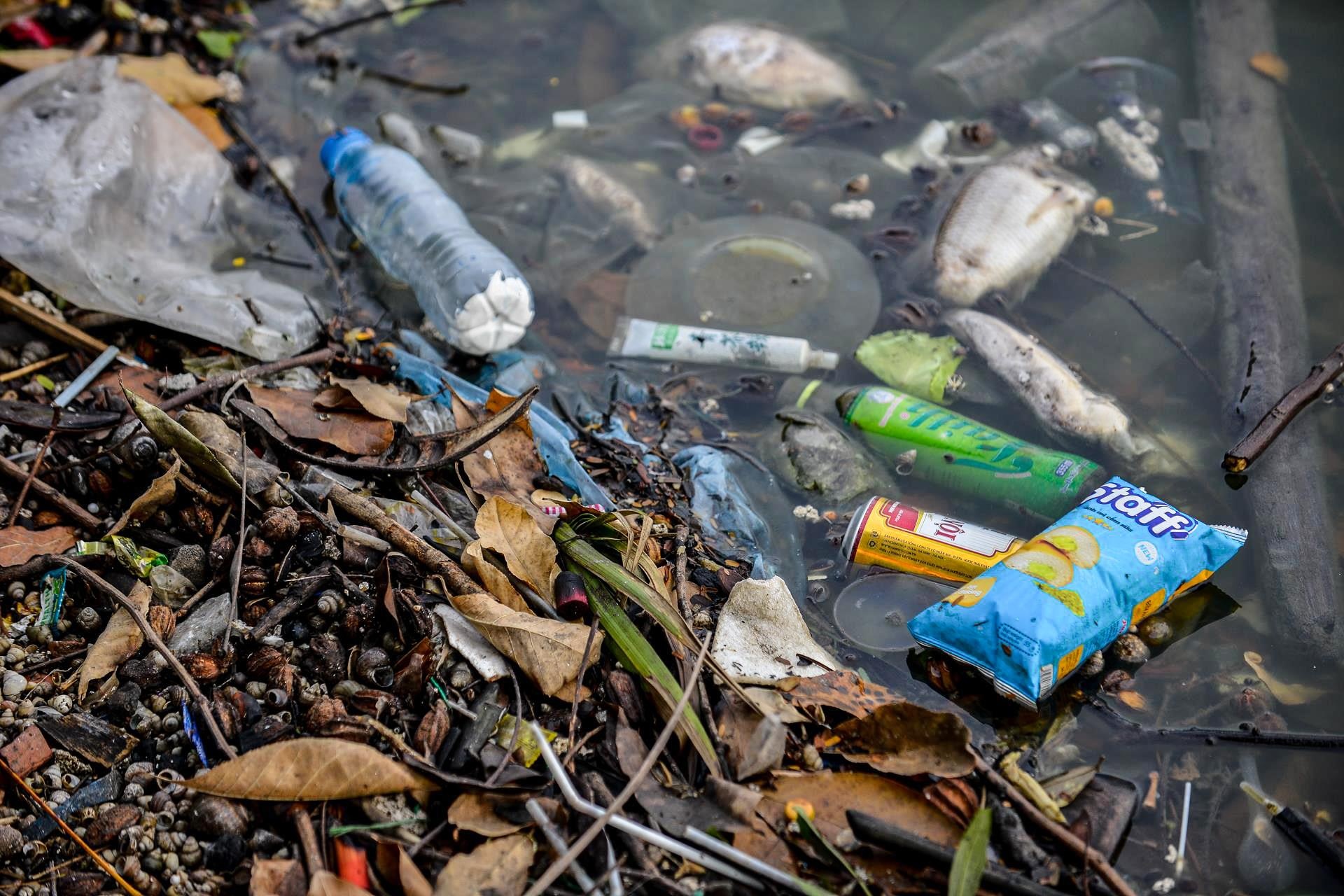 Ca chet o Ho Tay anh 7