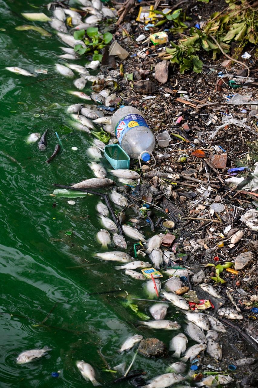 Ca chet o Ho Tay anh 3