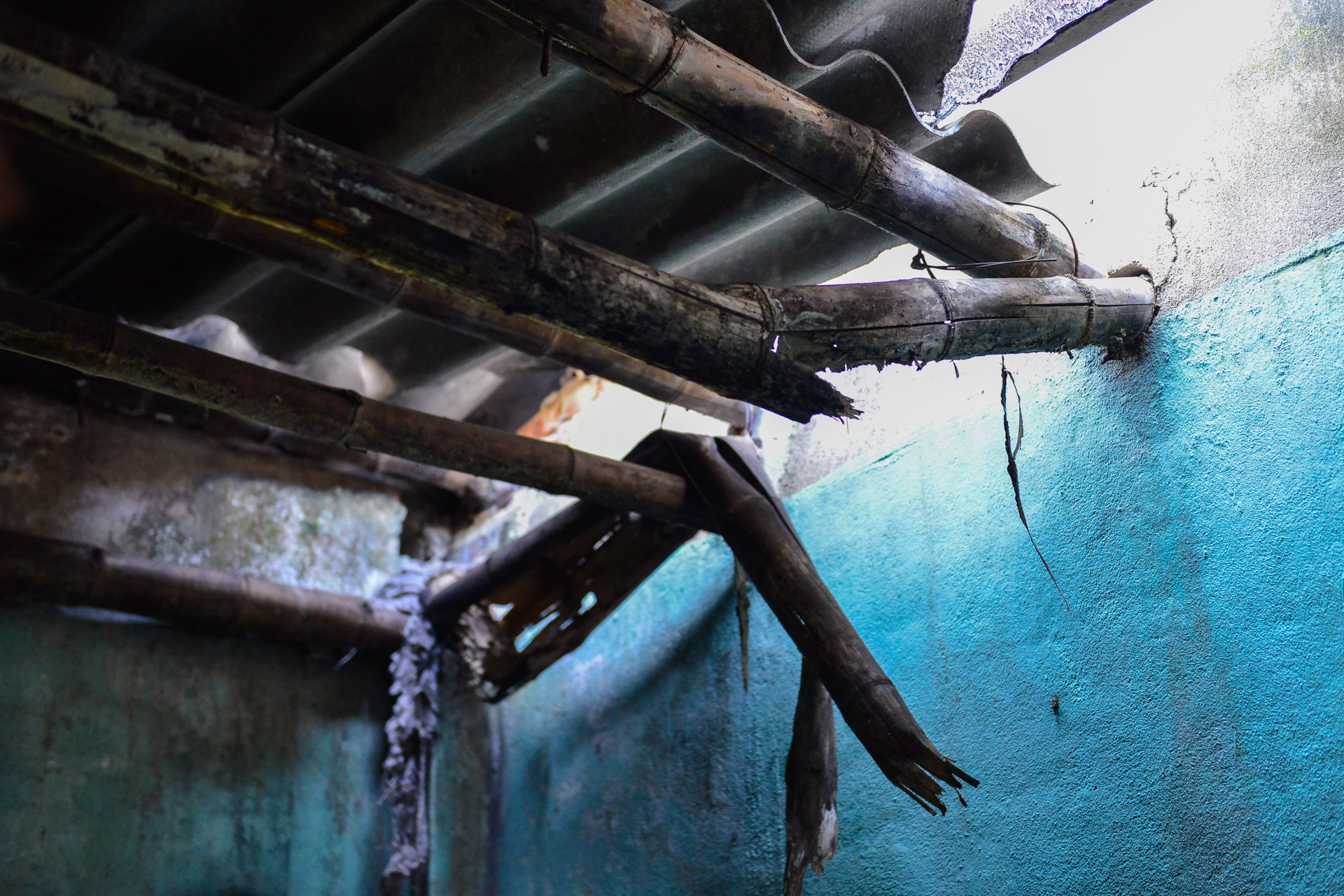 song kho canh Lam Kinh anh 3