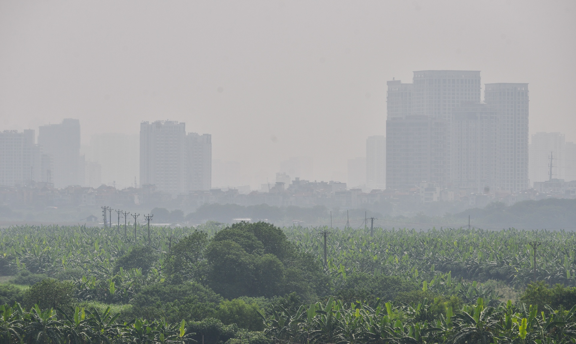 Hà Nội chìm trong sương mù lúc giữa trưa ảnh 5 Ha Noi chim trong suong mu luc giua trua anh 5