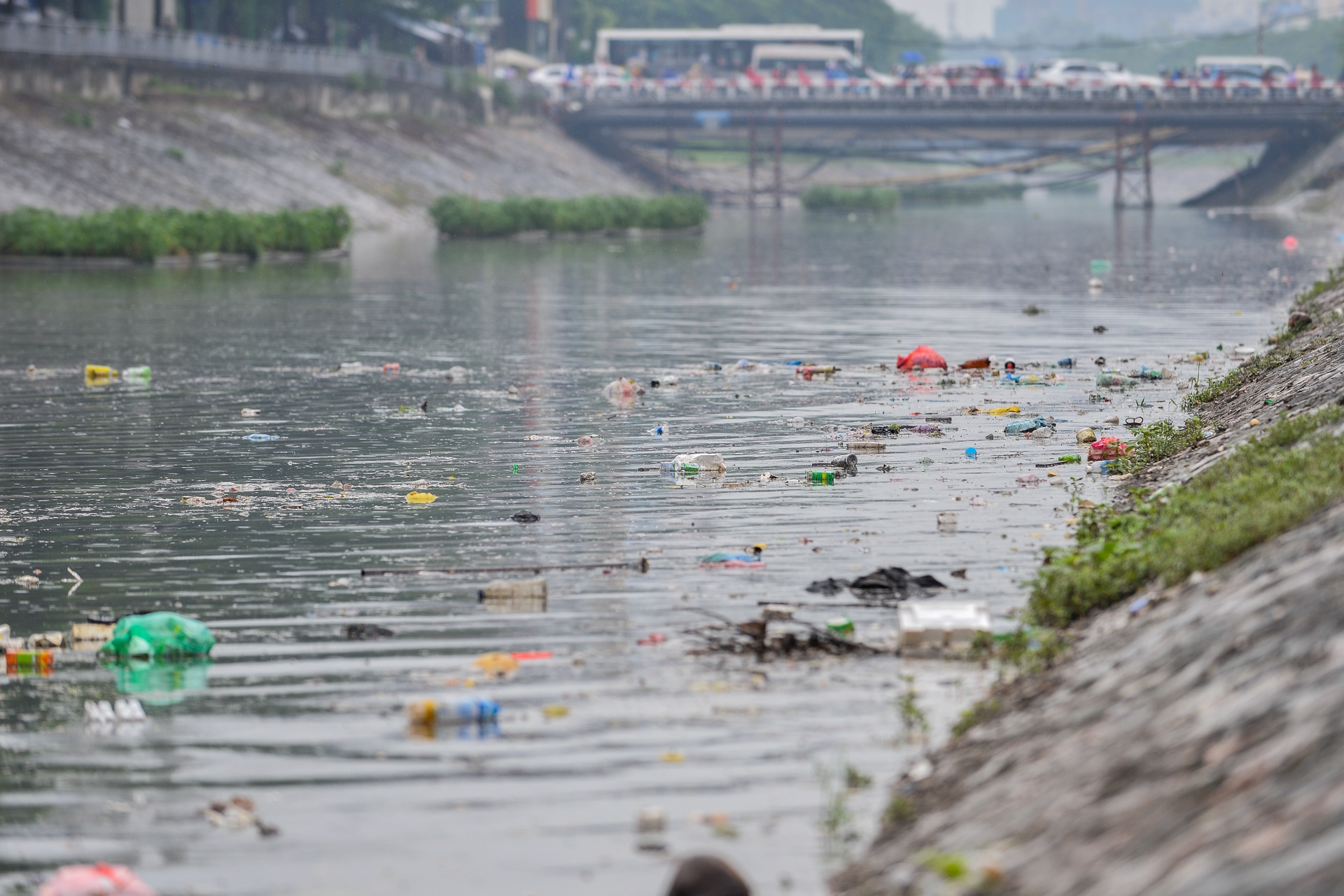 Song To Lich lenh benh rac sau mua anh 1