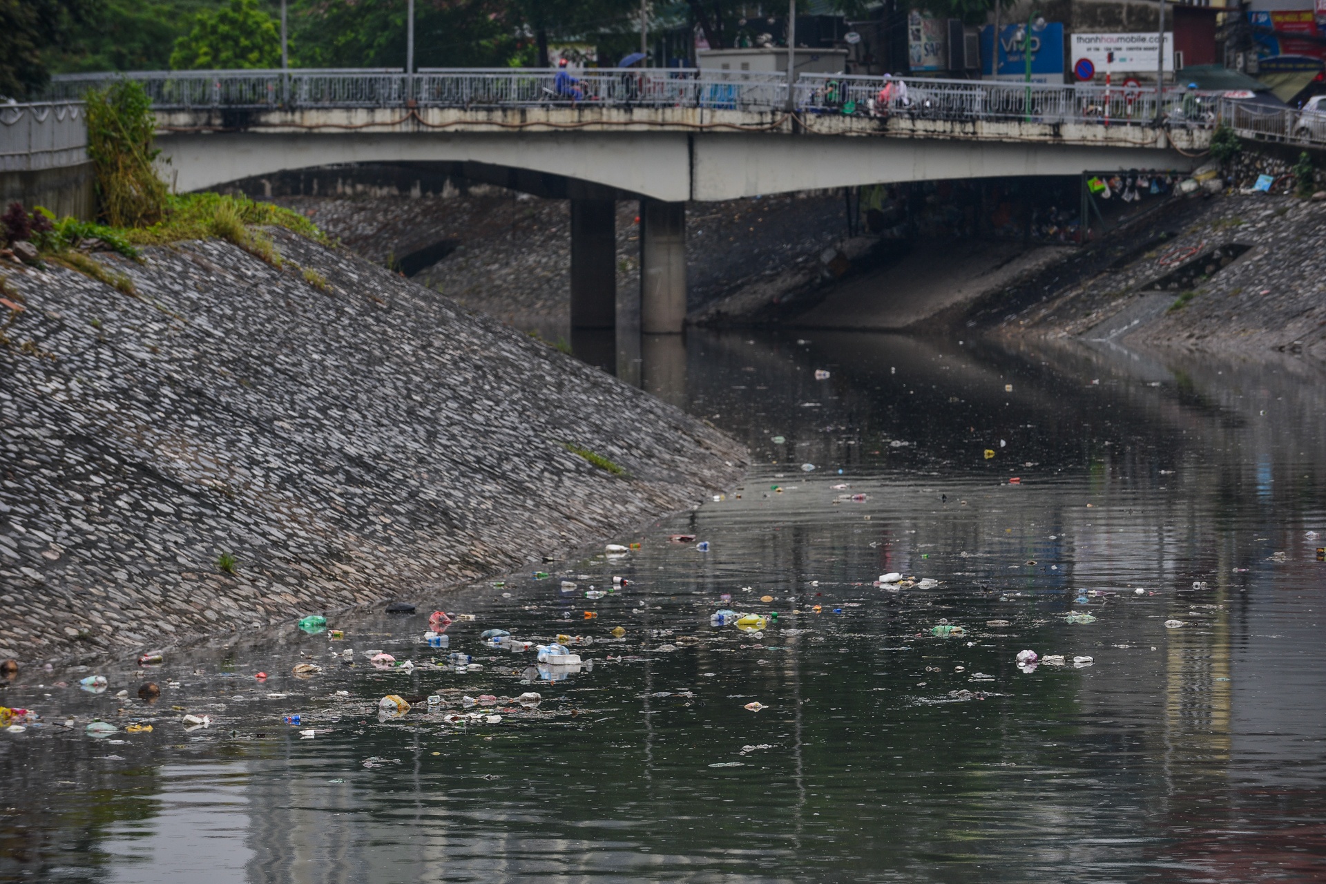 Song To Lich lenh benh rac sau mua anh 10