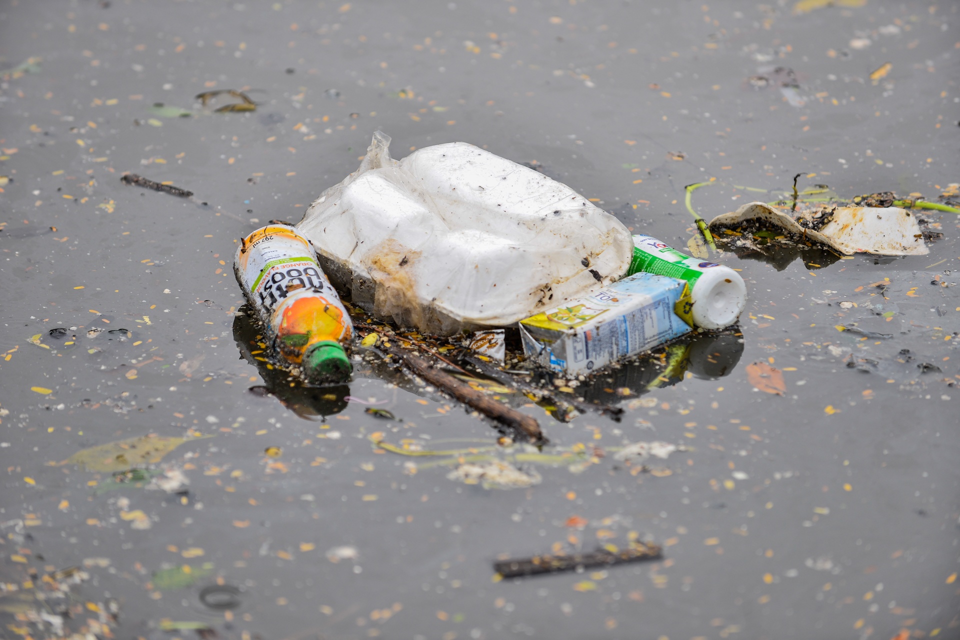 Song To Lich lenh benh rac sau mua anh 3