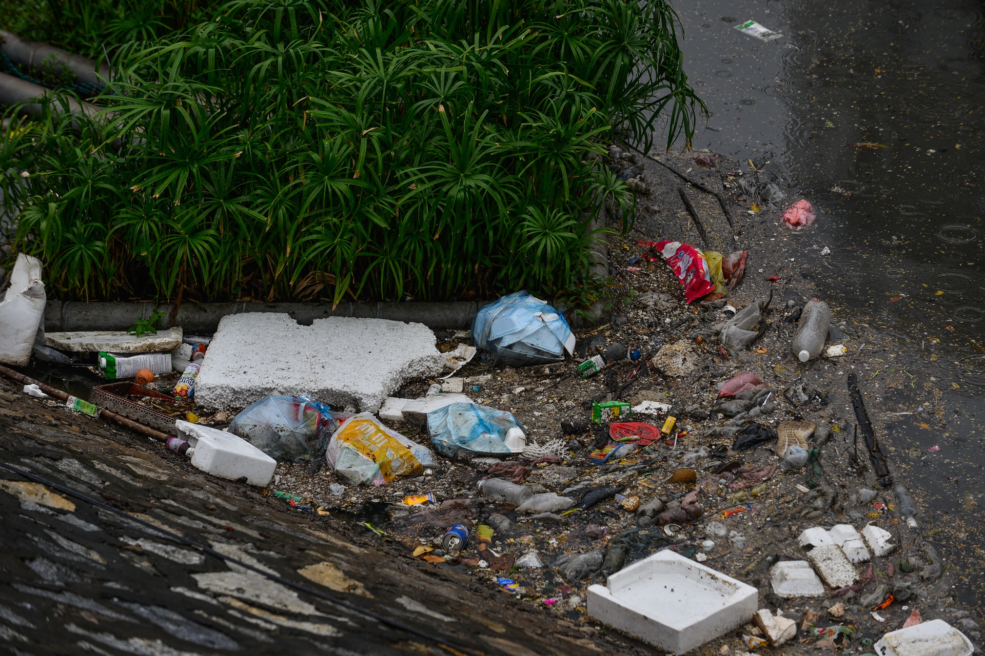 Song To Lich lenh benh rac sau mua anh 6