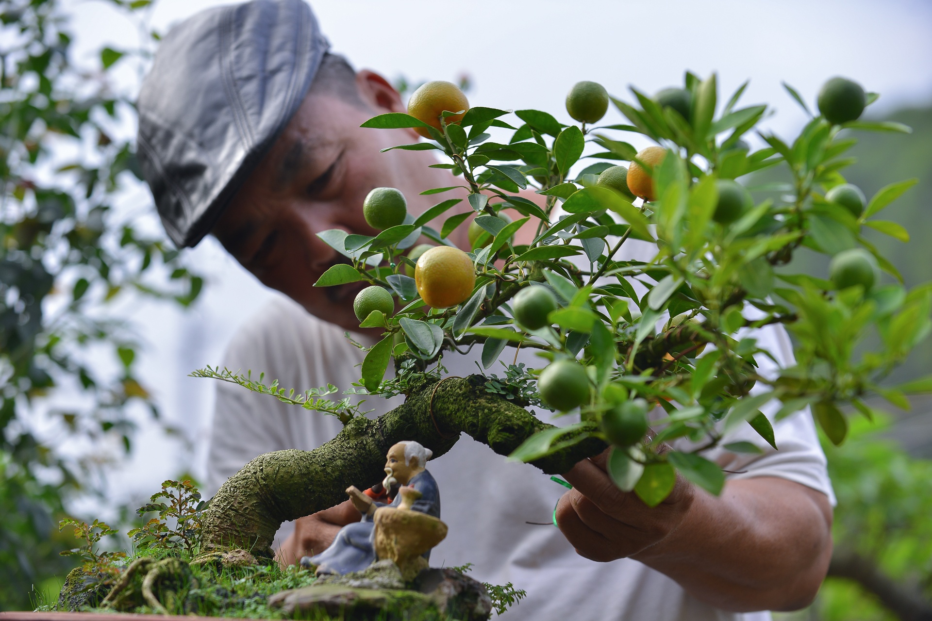 Quat thang tien choi Tet gia hang chuc trieu o Ha Noi hinh anh