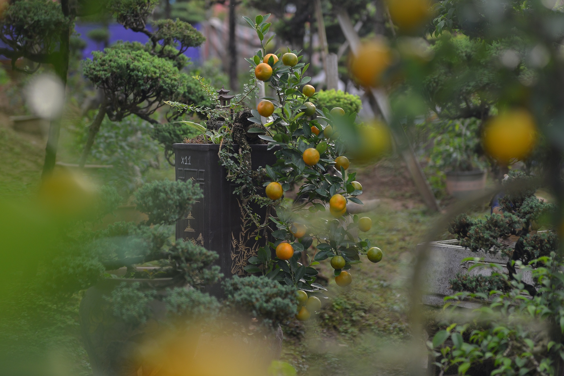 Quat 'thang tien' choi tet gia hang chuc trieu o Ha Noi anh 5