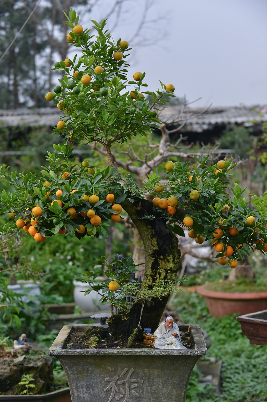 Quat 'thang tien' choi tet gia hang chuc trieu o Ha Noi anh 3