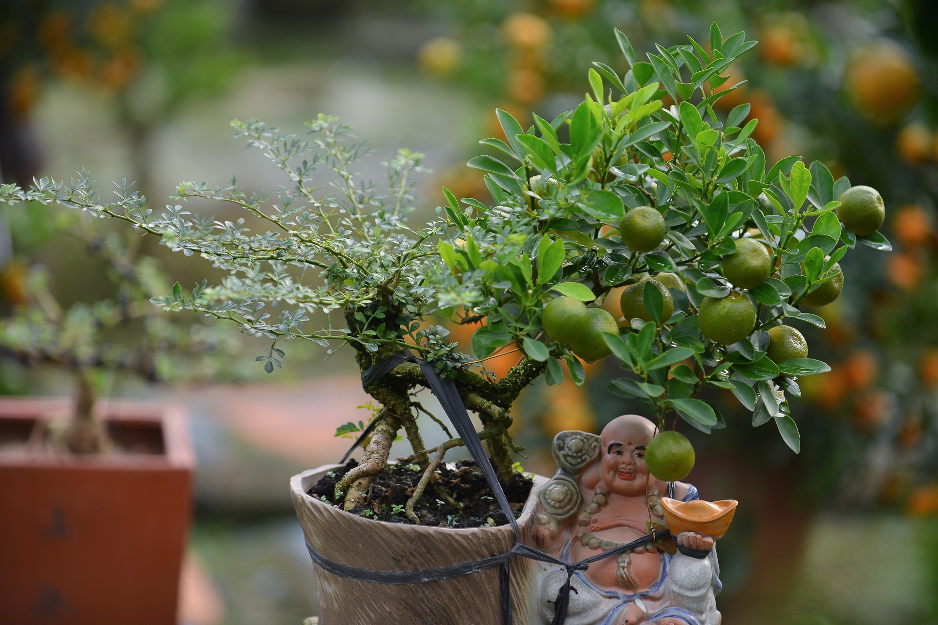 Quat 'thang tien' choi tet gia hang chuc trieu o Ha Noi anh 4