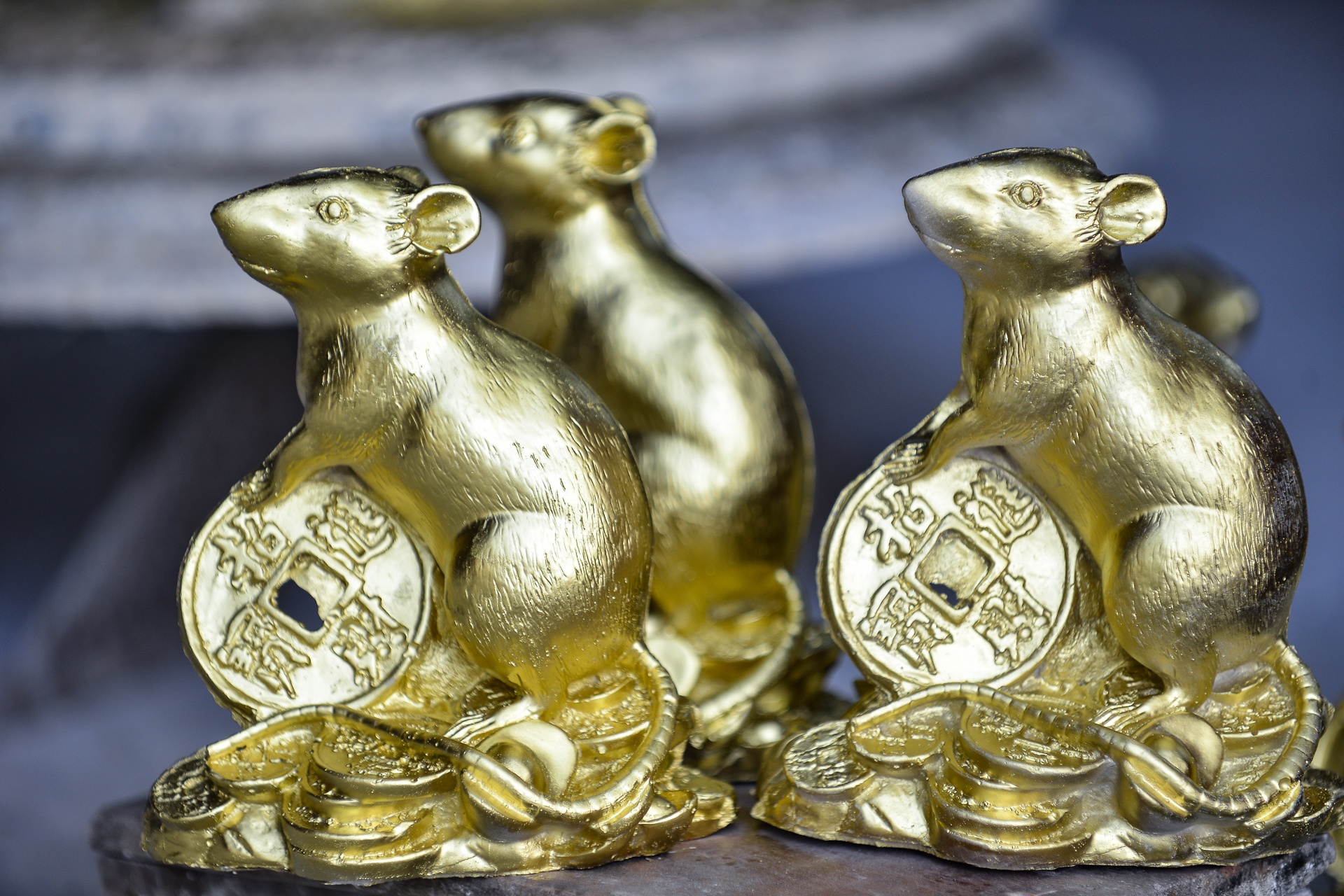 Chuot om dong tien vang chao xuan Canh Ty anh 9