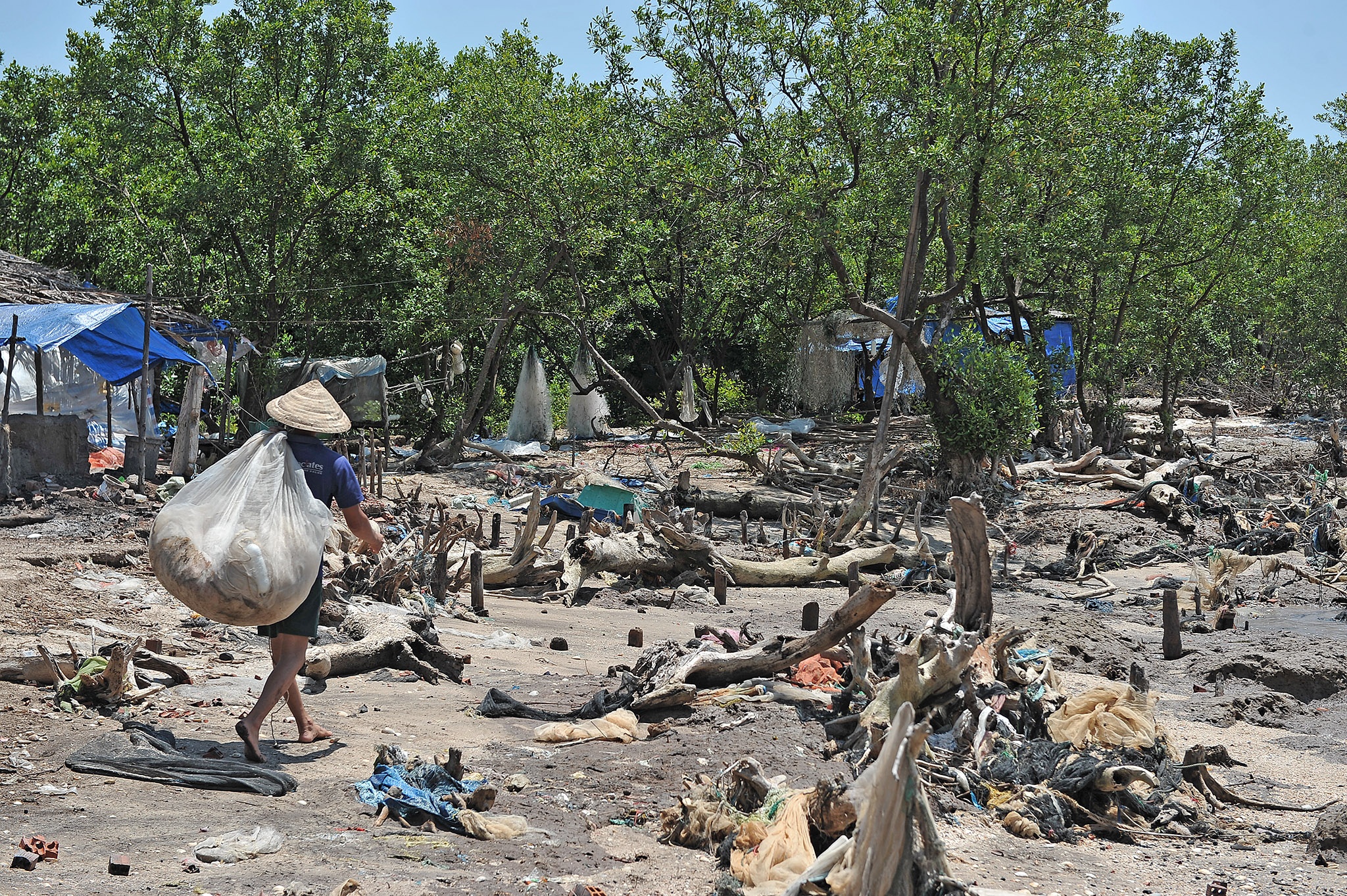 Song bien danh sat lo Dat Mui Ca Mau anh 6